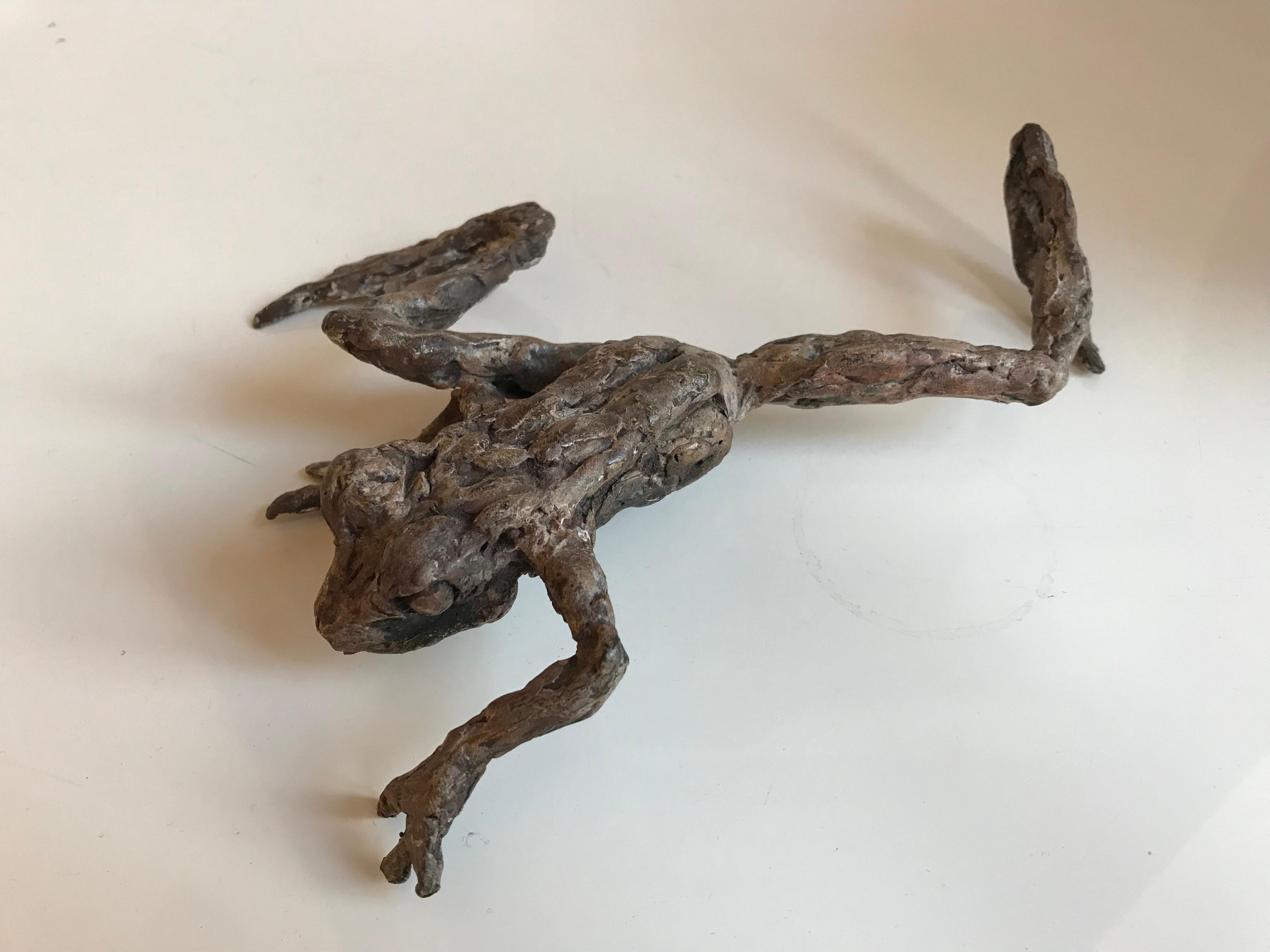 ''Crawling Frog'', Contemporary Bronze Sculpture Portrait of a Frog For Sale 1