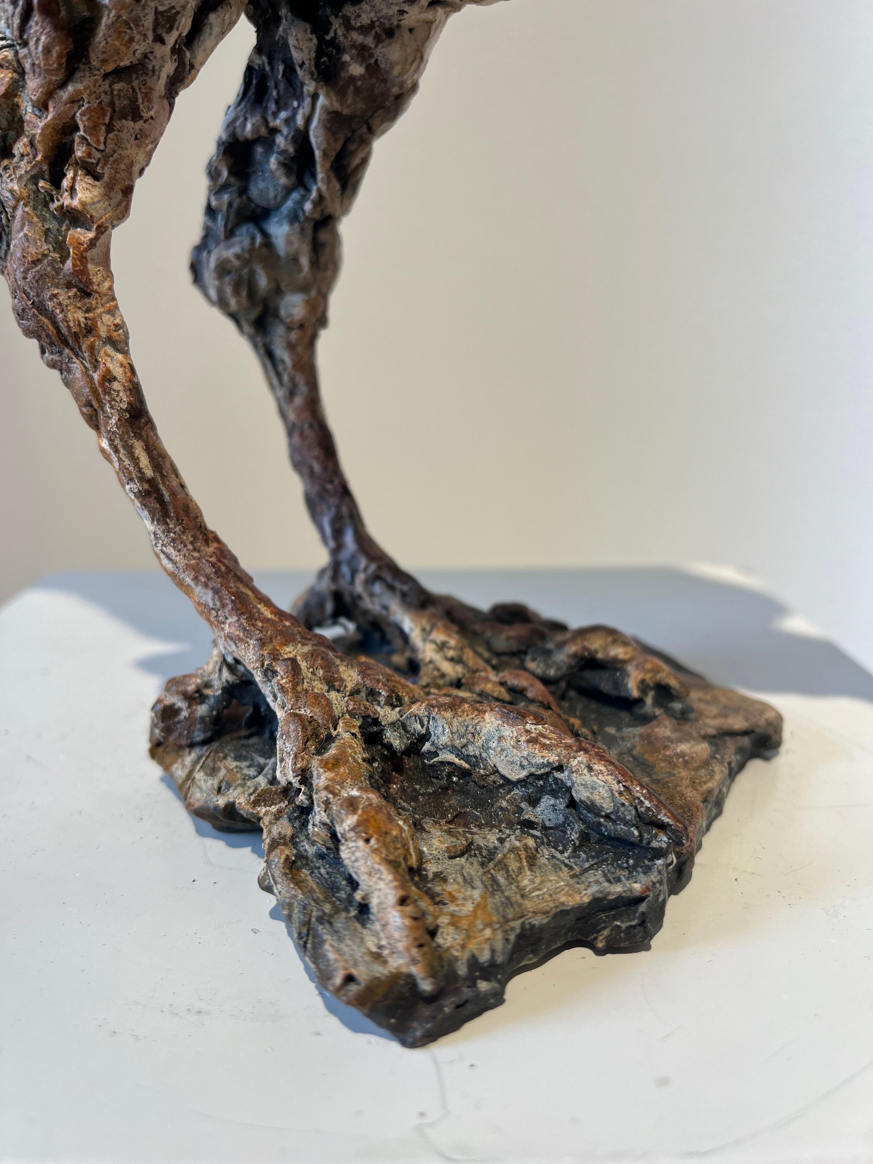 ''Busardo ratonero del desierto'', Escultura contemporánea de bronce Retrato de un busardo ratonero, Ave en venta 5