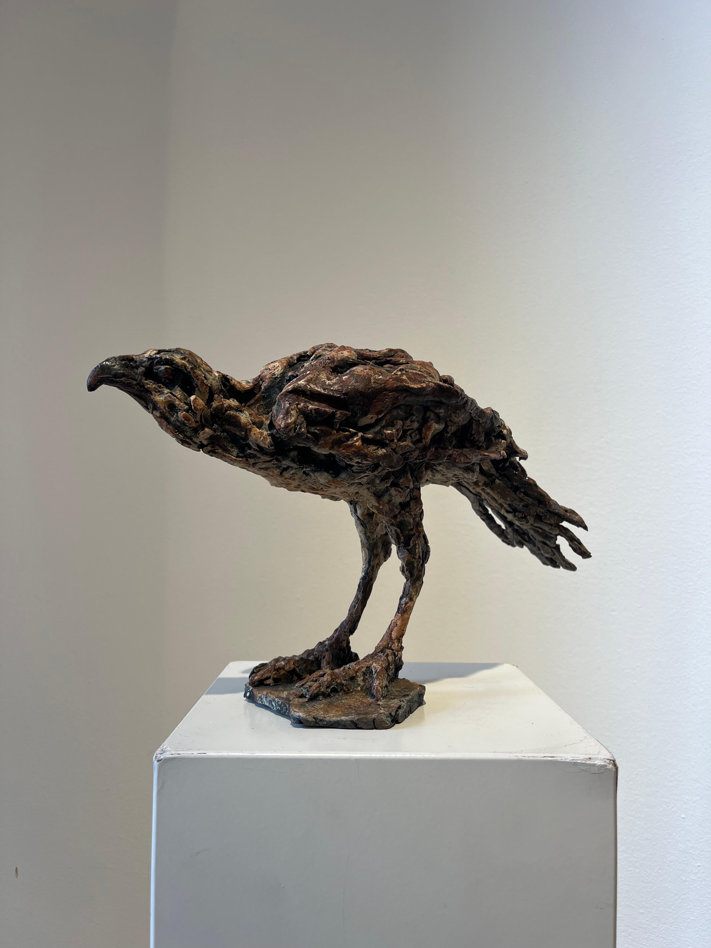 ''Busardo ratonero del desierto'', Escultura contemporánea de bronce Retrato de un busardo ratonero, Ave en venta 7