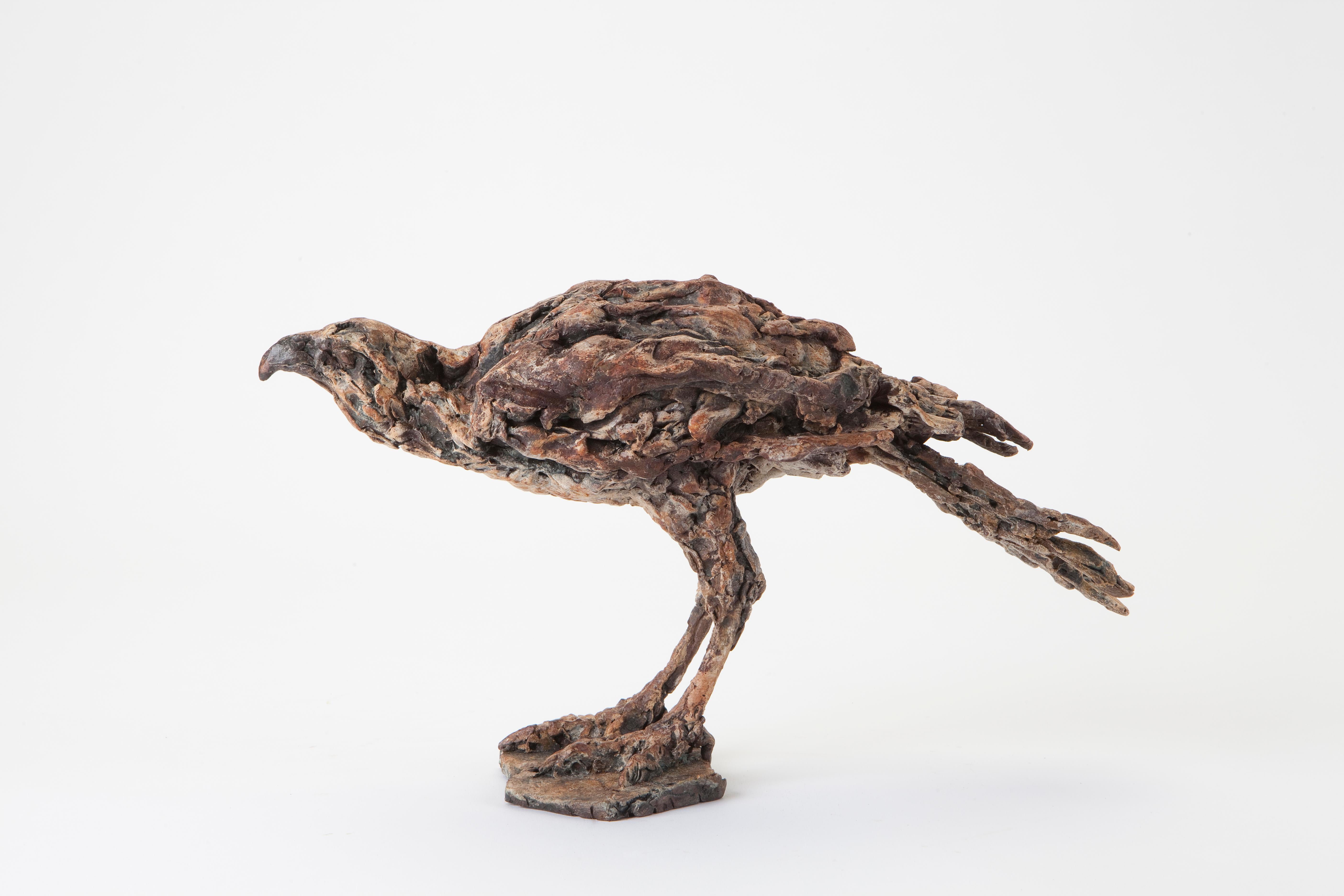 ''Busardo ratonero del desierto'', Escultura contemporánea de bronce Retrato de un busardo ratonero, Ave - Sculpture de Ans Zondag