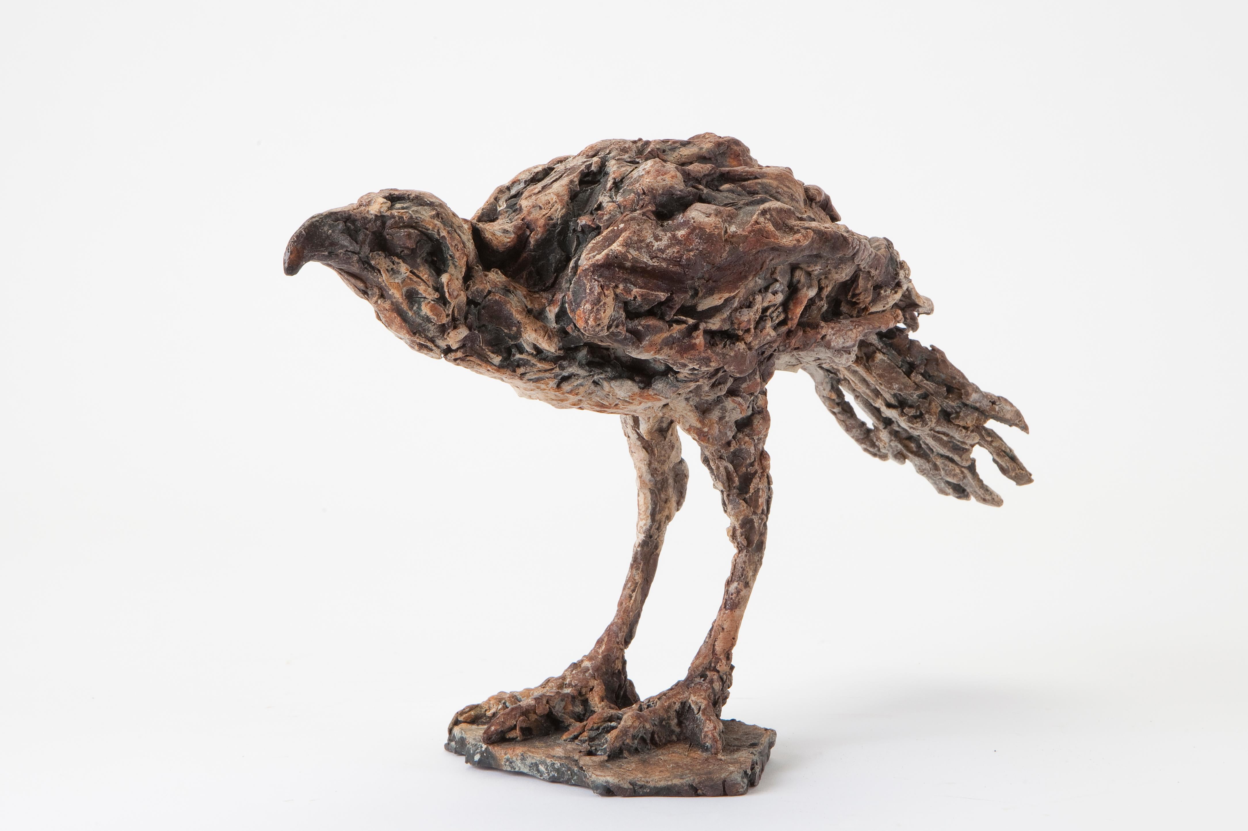 ''Busardo ratonero del desierto'', Escultura contemporánea de bronce Retrato de un busardo ratonero, Ave - Sculpture Contemporáneo de Ans Zondag