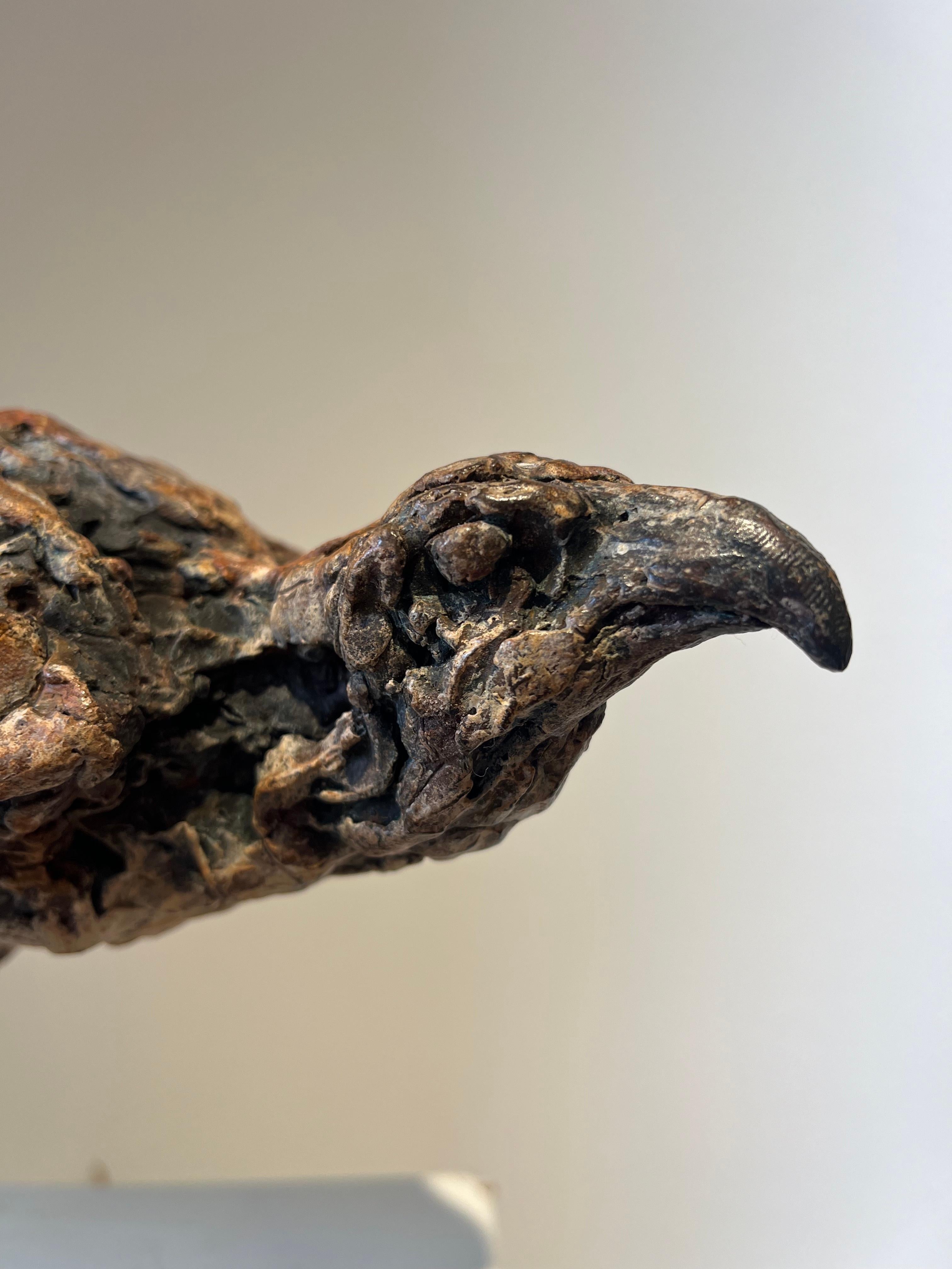 ''Busardo ratonero del desierto'', Escultura contemporánea de bronce Retrato de un busardo ratonero, Ave en venta 2