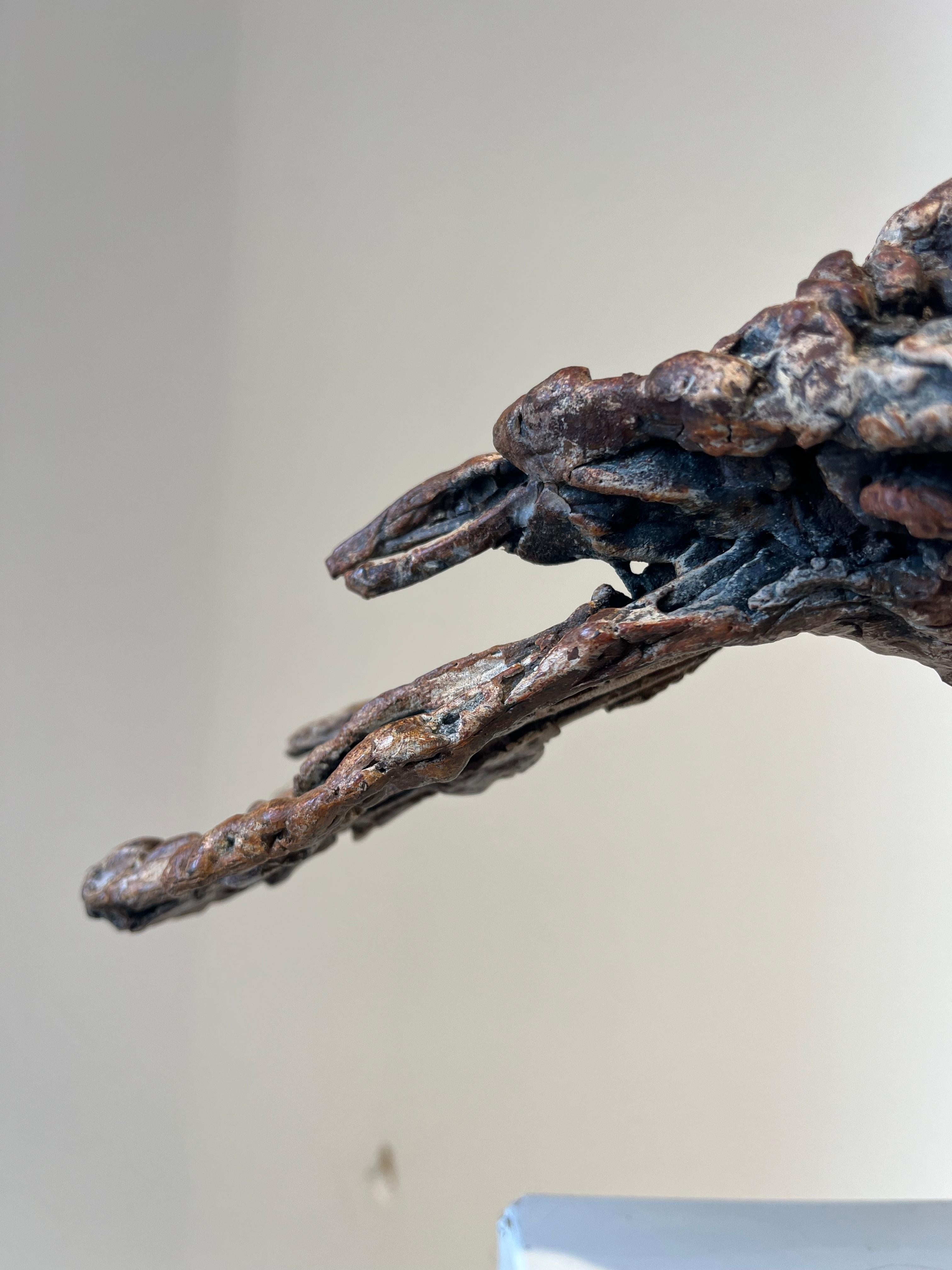 ''Busardo ratonero del desierto'', Escultura contemporánea de bronce Retrato de un busardo ratonero, Ave en venta 4