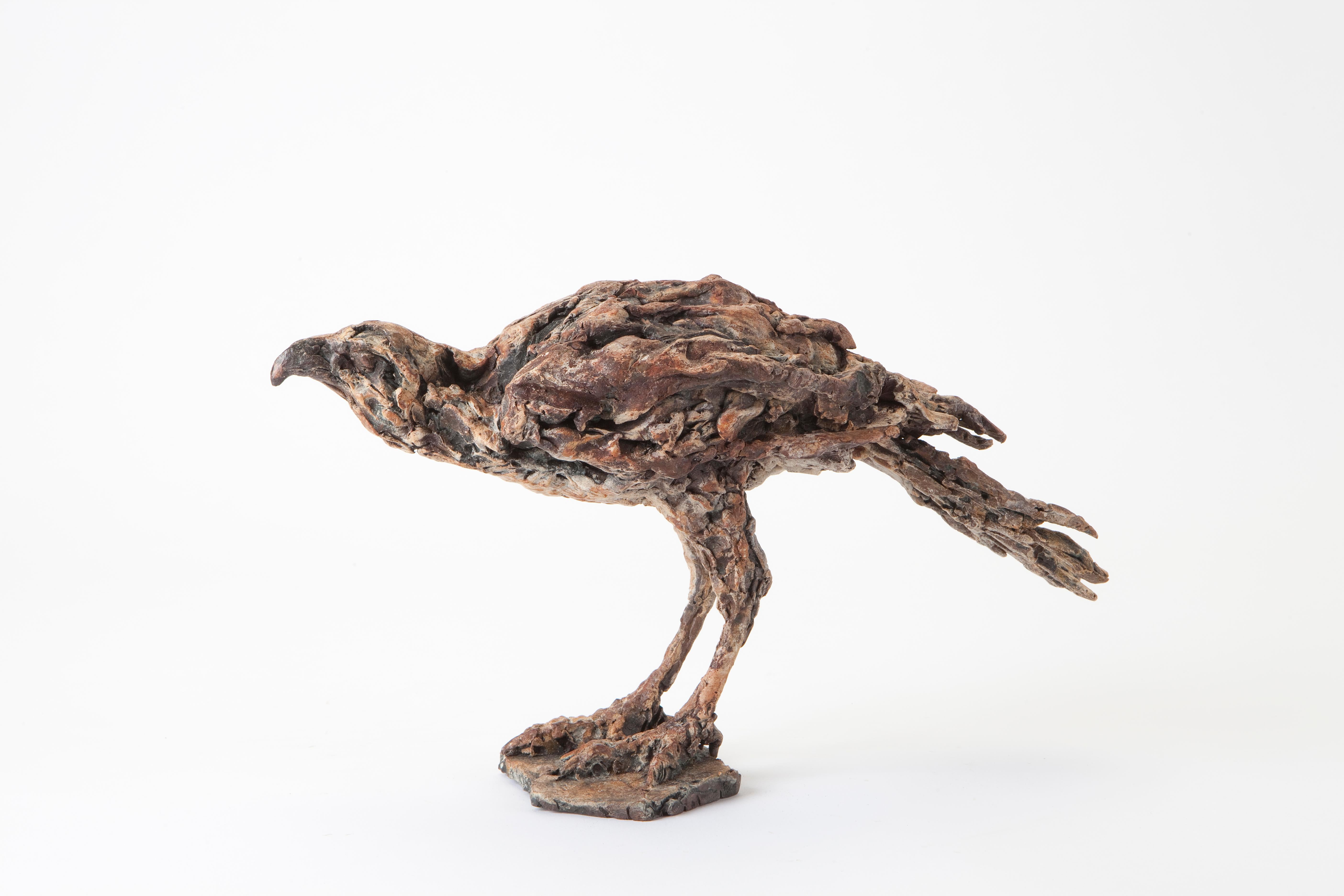 Figurative Sculpture de Ans Zondag - ''Busardo ratonero del desierto'', Escultura contemporánea de bronce Retrato de un busardo ratonero, Ave