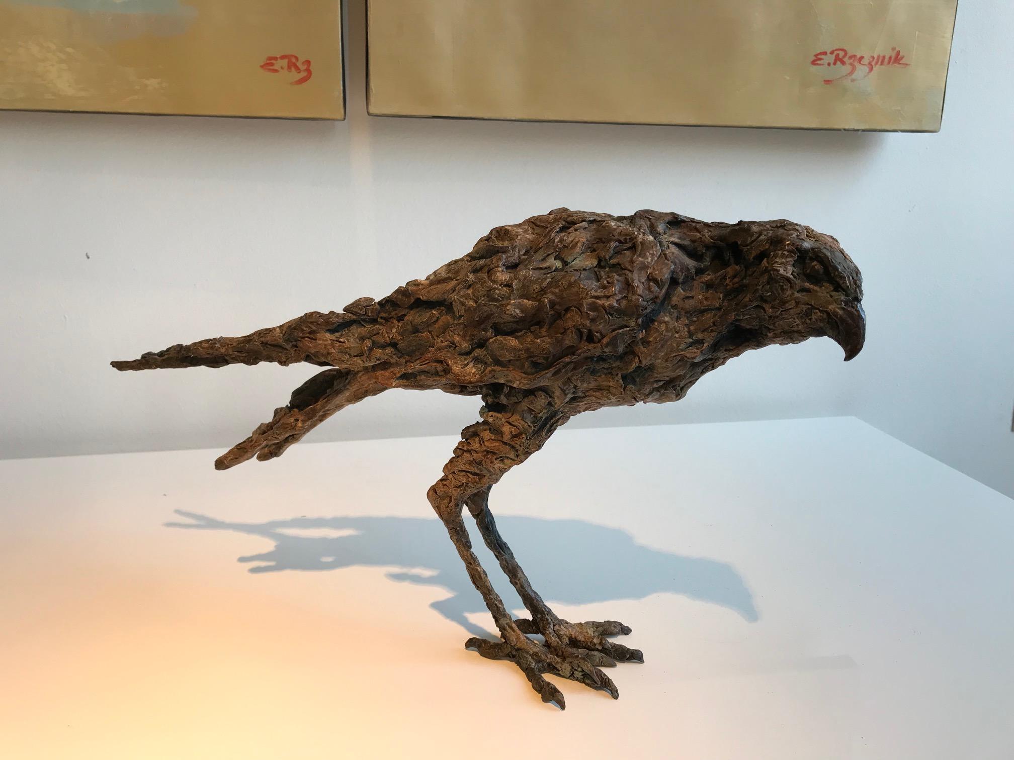 Falcon'', Contemporary Bronze Sculpture Porträt eines Falken, Habicht, Vogel im Angebot 2