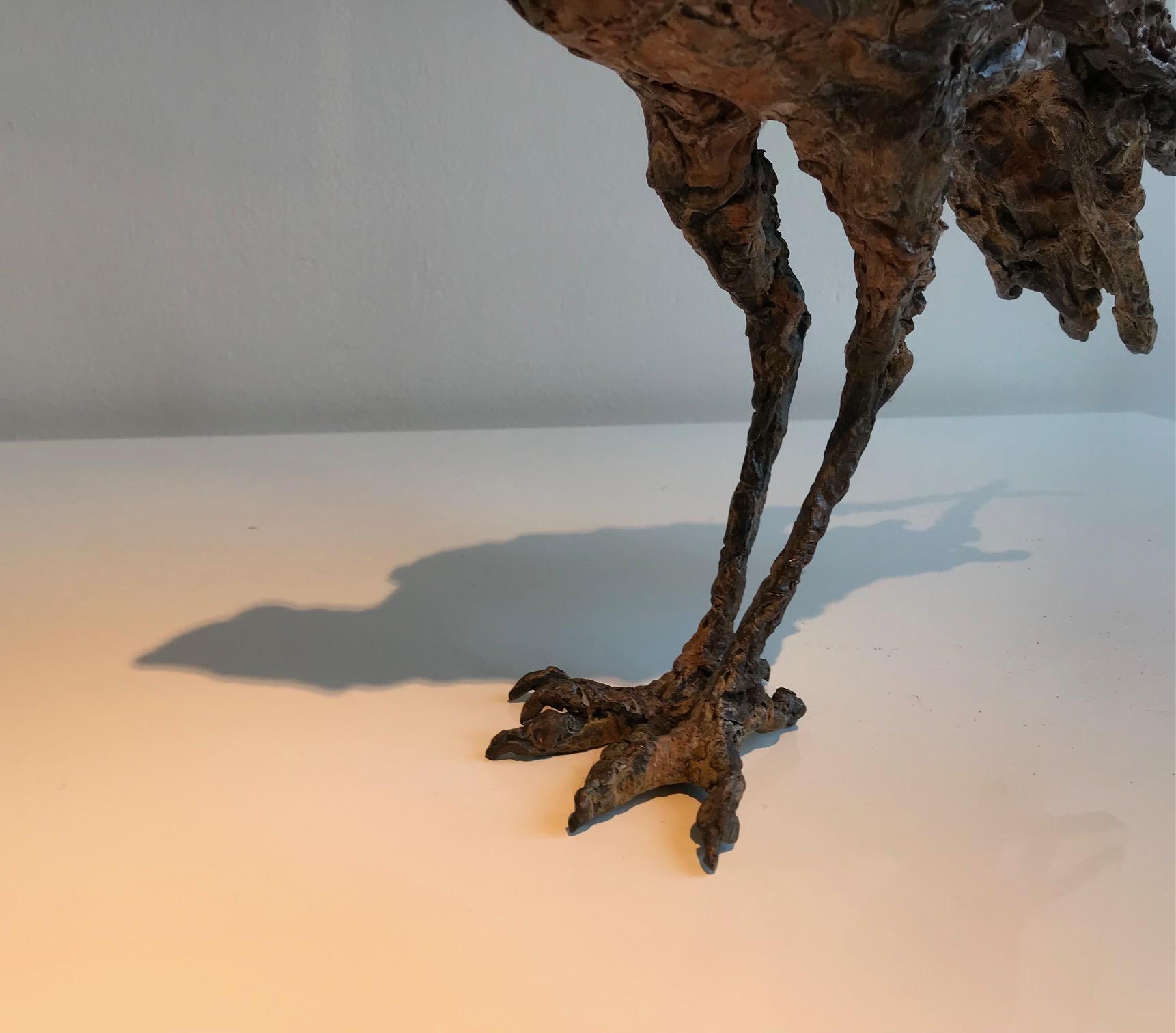 ''Falcon'', Contemporary Bronze Sculpture Portrait of a Falcon, Hawk, Bird For Sale 6