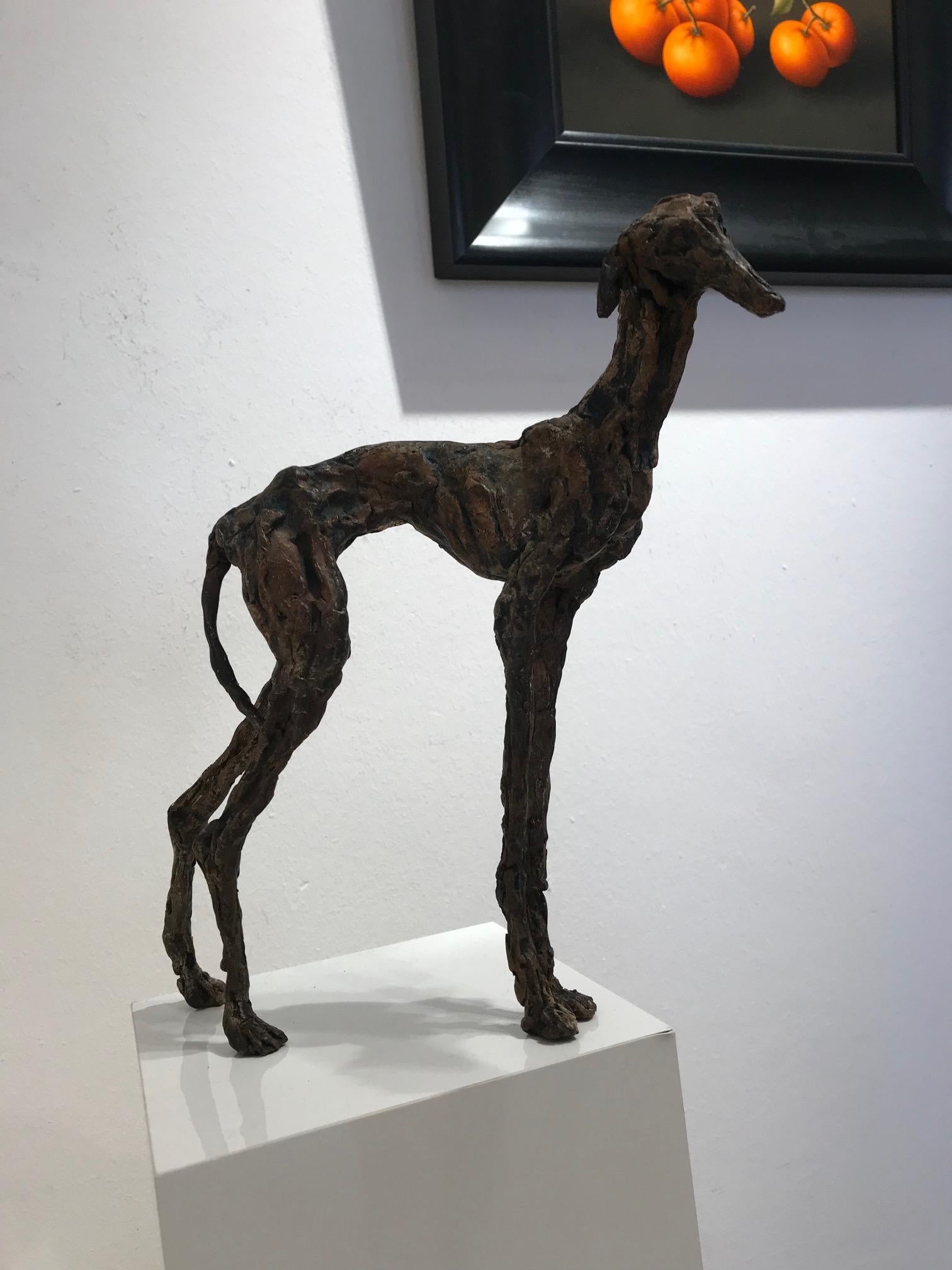 ''Galgo'', Contemporary Bronze Sculpture Portrait of a Spanish Greyhound Dog For Sale 5