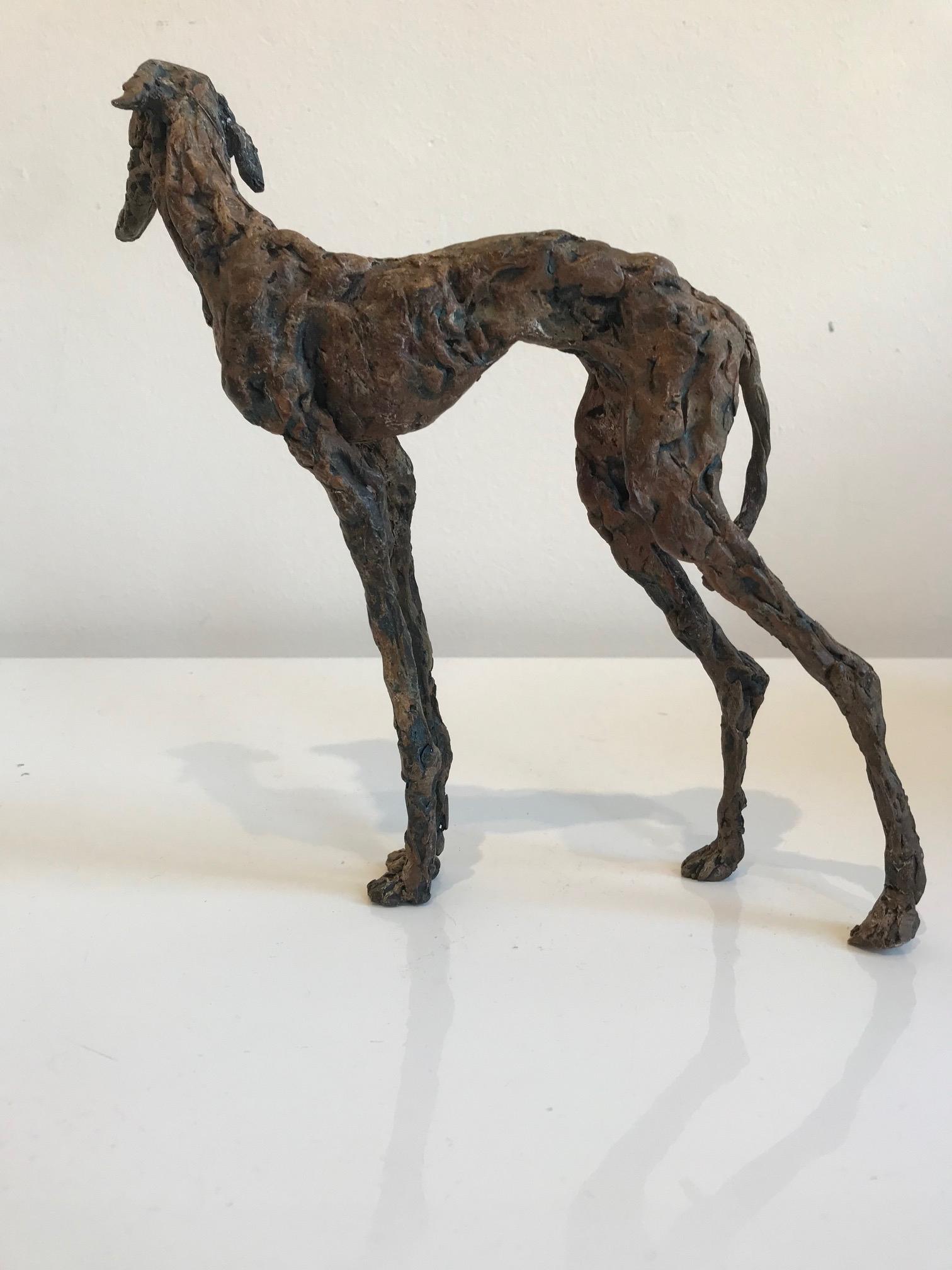 ''Galgo'', Sculpture contemporaine en bronze Portrait d'un chien lévrier espagnol en vente 1
