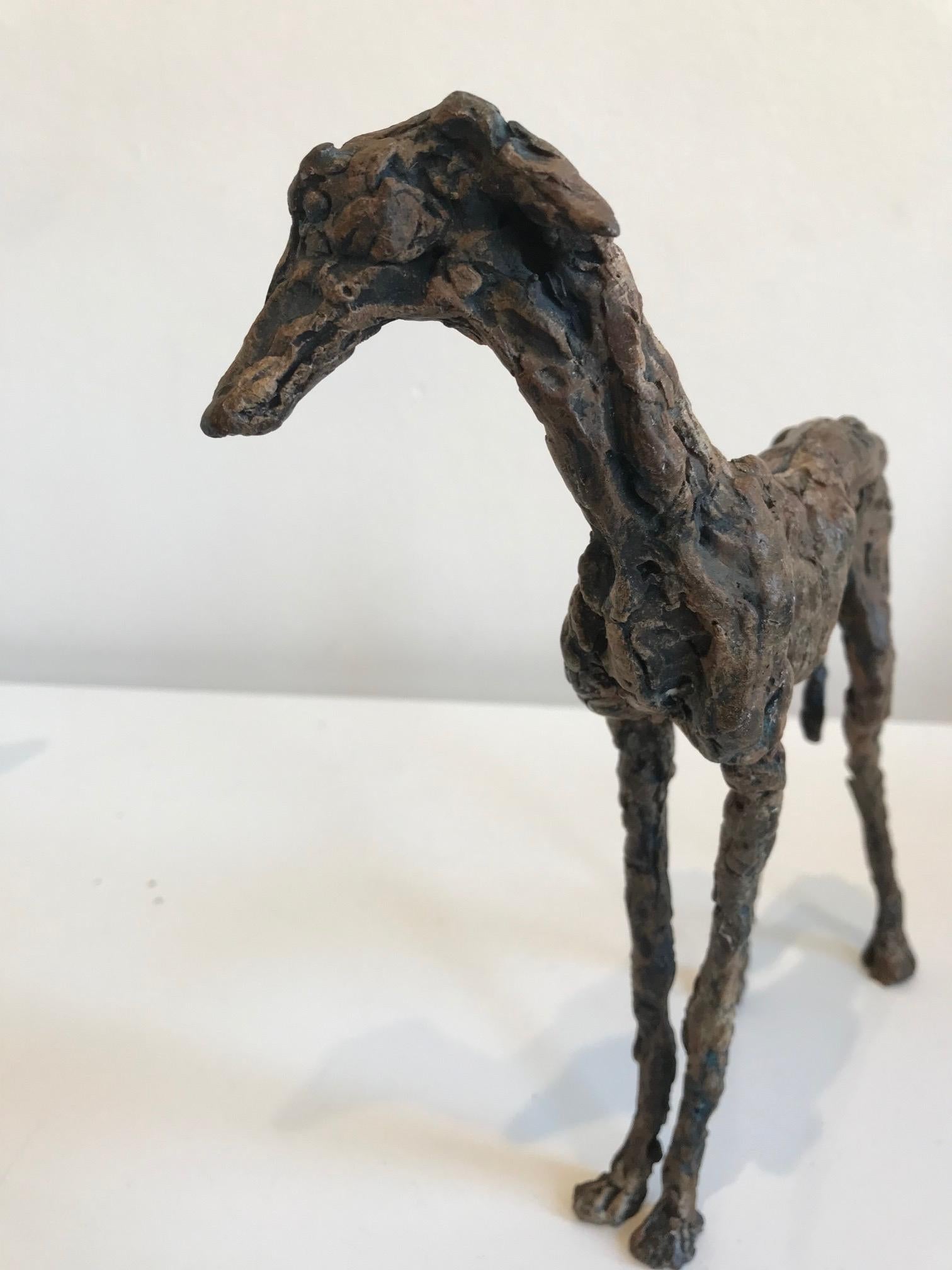 ''Galgo'', Contemporary Bronze Sculpture Portrait of a Spanish Greyhound Dog - Gold Figurative Sculpture by Ans Zondag