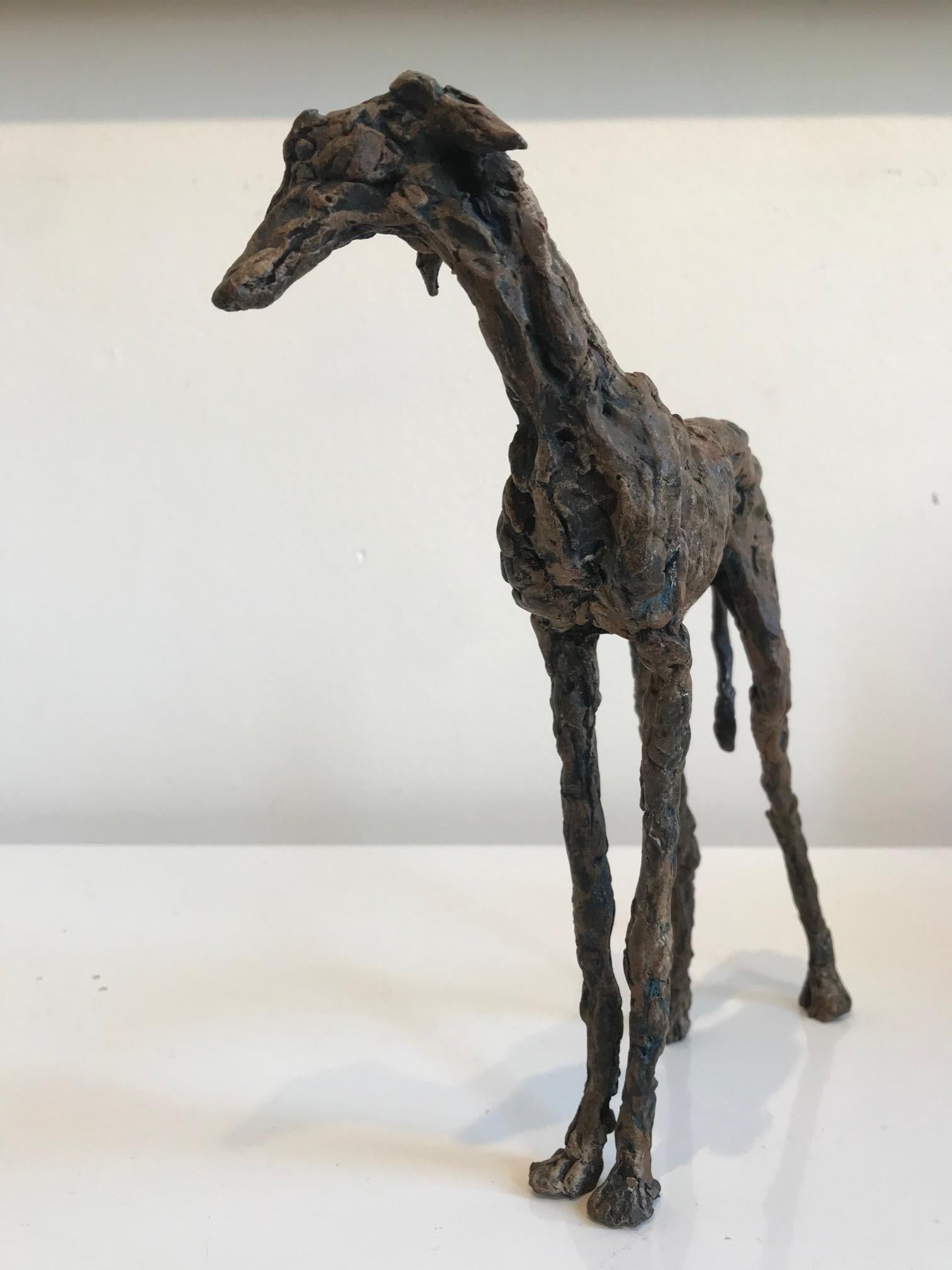 ''Galgo'', Escultura Contemporánea de Bronce Retrato de un Perro Galgo Español - Sculpture Contemporáneo de Ans Zondag