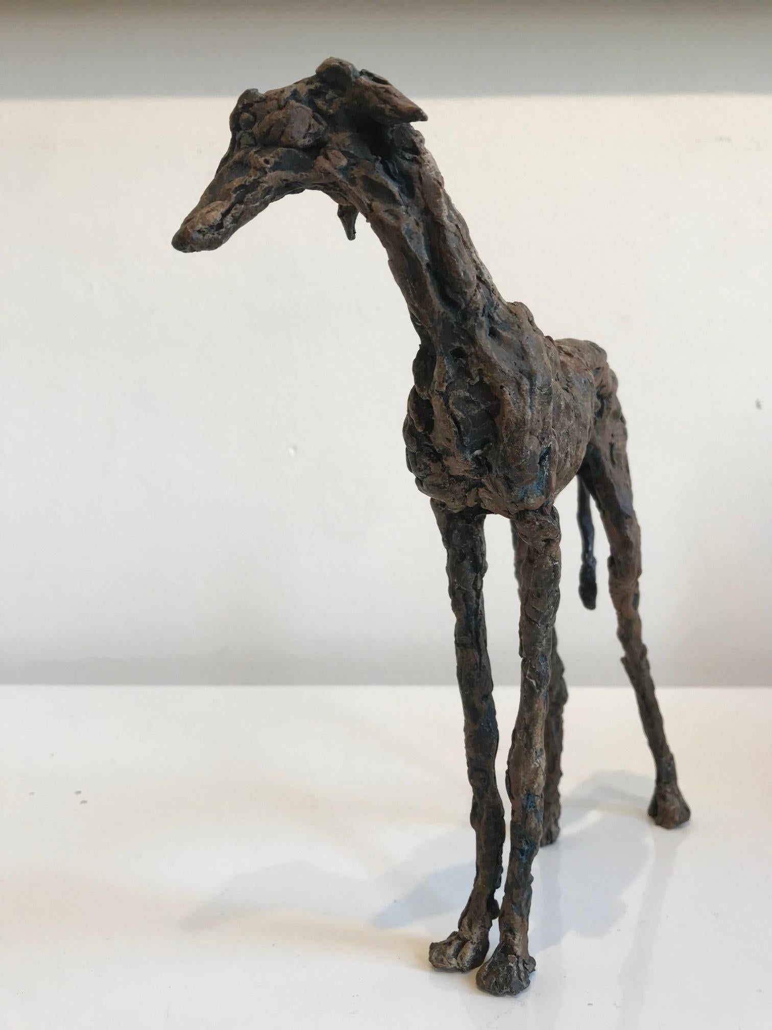 ''Galgo'', Sculpture contemporaine en bronze Portrait d'un chien lévrier espagnol en vente 3