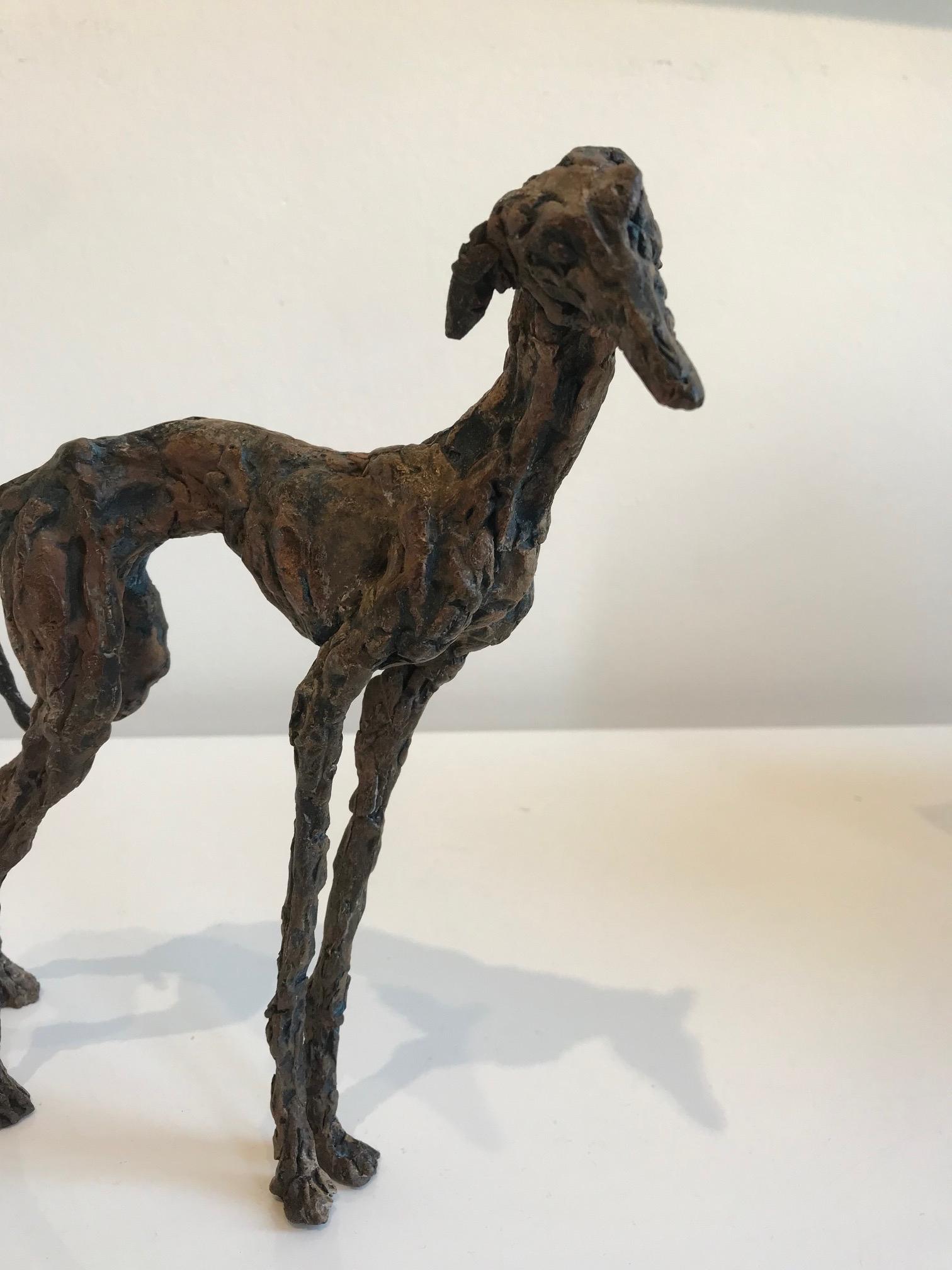 ''Galgo'', Contemporary Bronze Sculpture Portrait of a Spanish Greyhound Dog For Sale 1