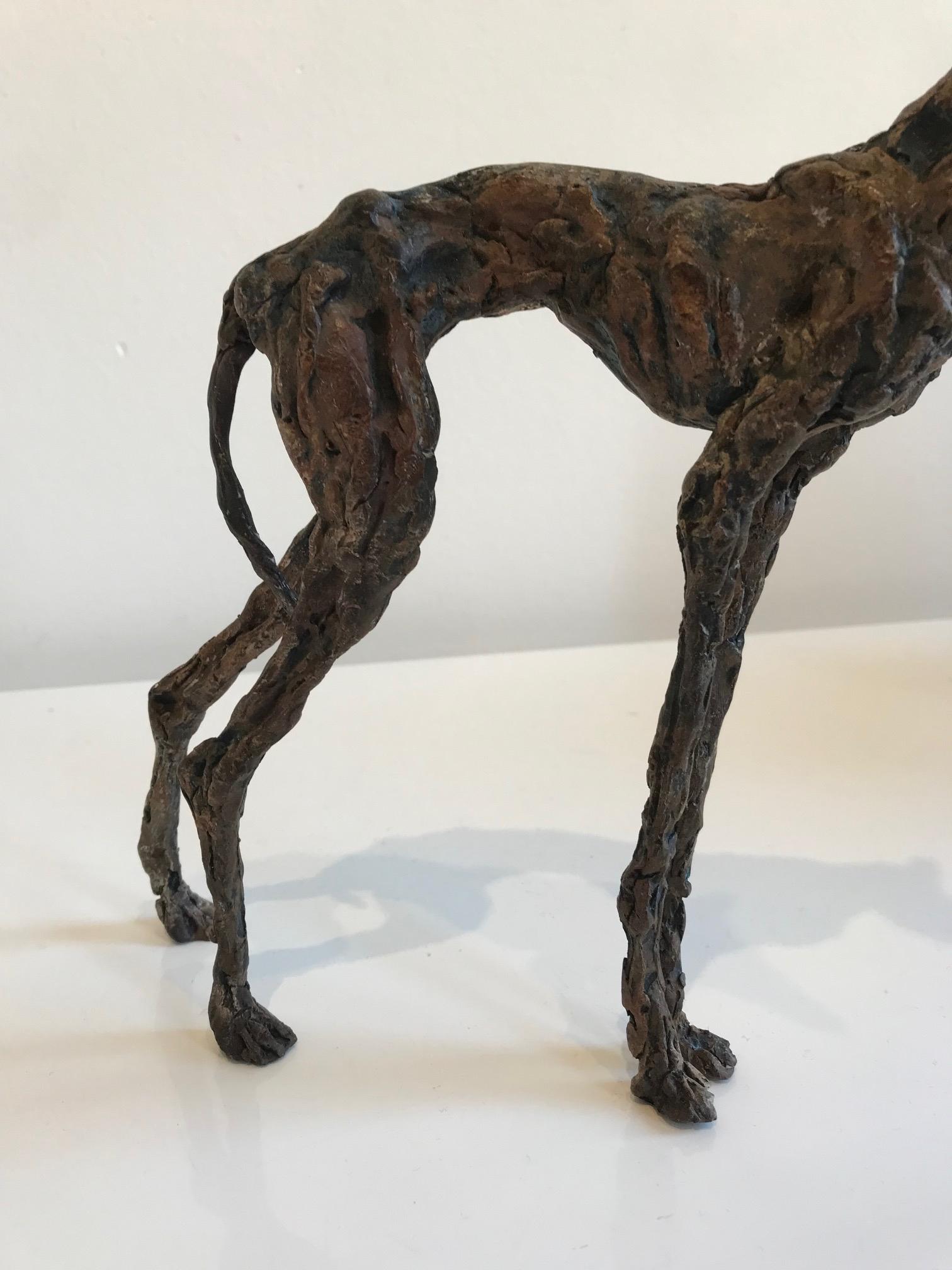 ''Galgo'', Contemporary Bronze Sculpture Portrait of a Spanish Greyhound Dog For Sale 2