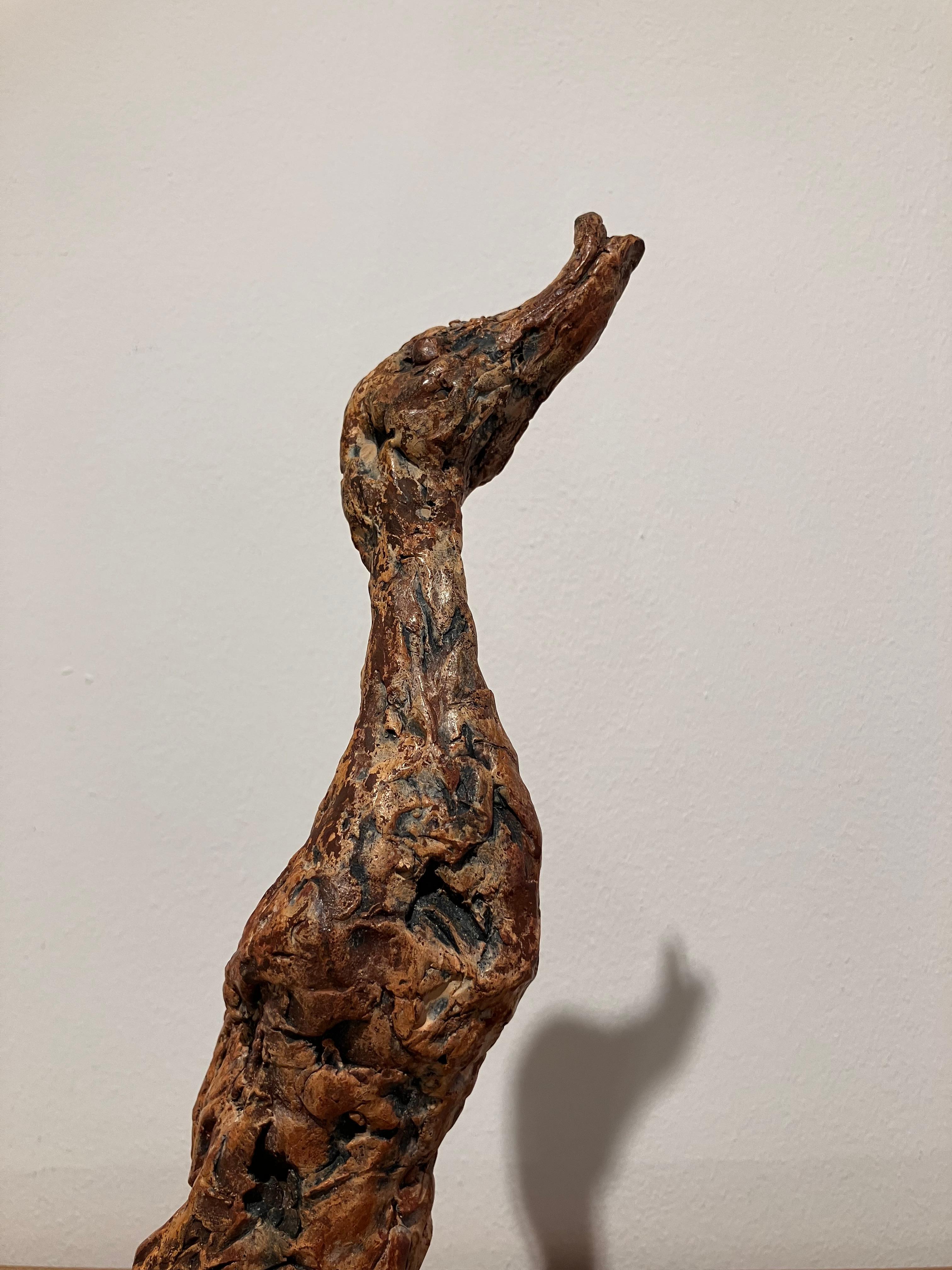 ''Kizz'', scultura contemporanea in bronzo Ritratto di un cucciolo d'anatra, marrone in vendita 1