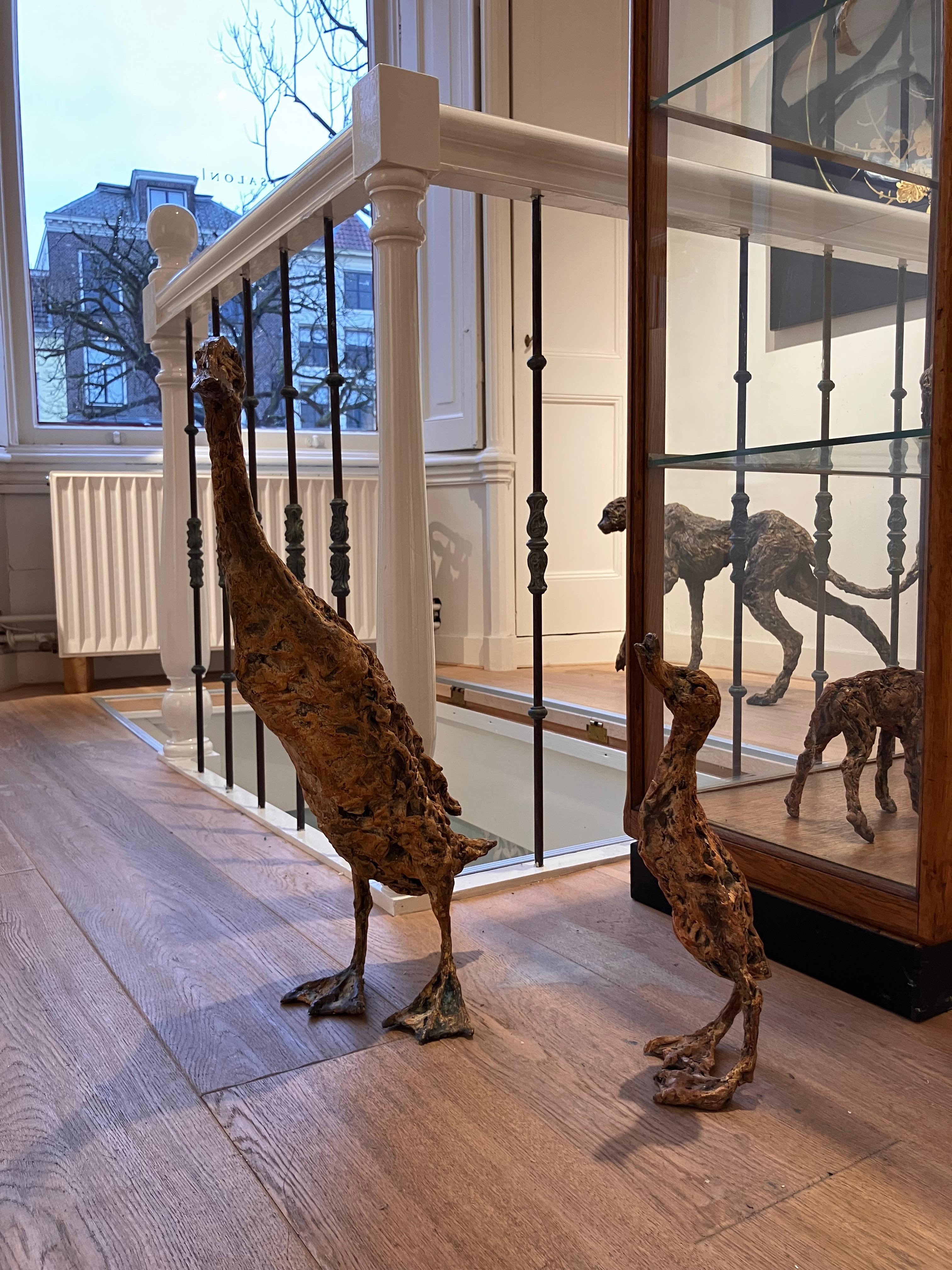 ''Kizz'', scultura contemporanea in bronzo Ritratto di un cucciolo d'anatra, marrone in vendita 4