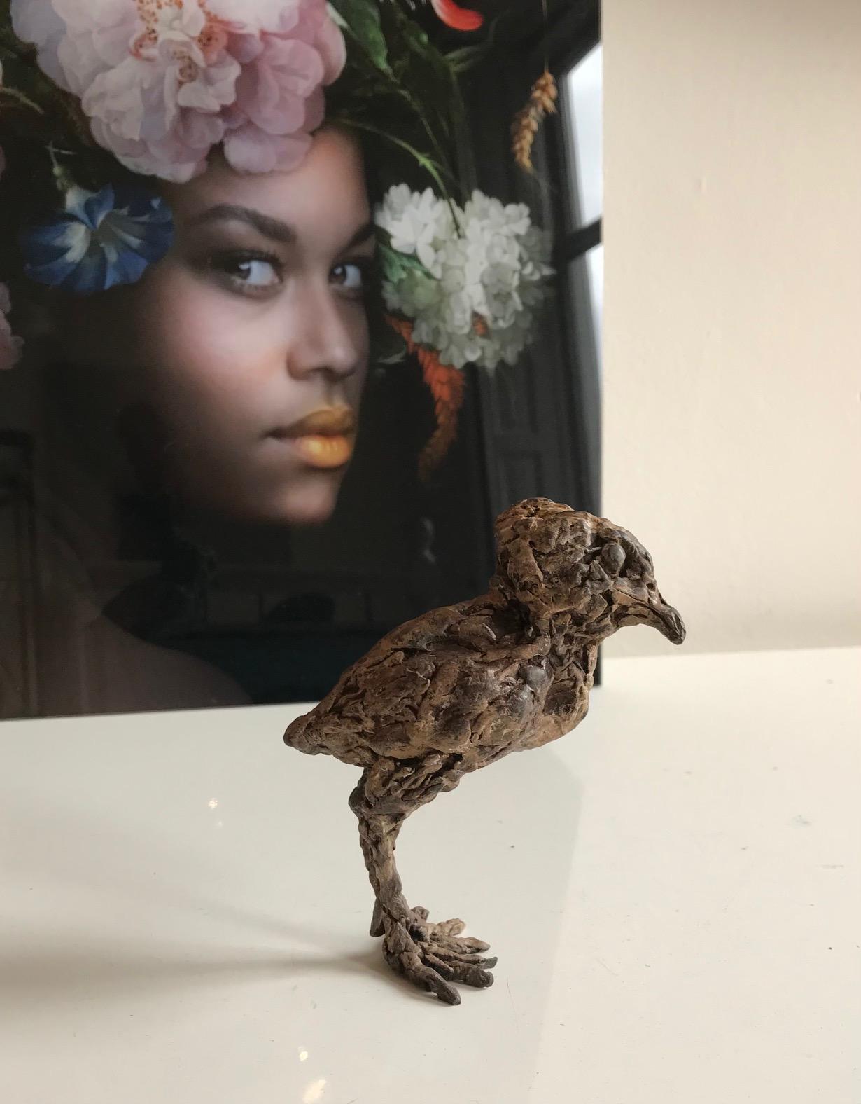 ''Little Tintin'' Contemporary Bronze Sculpture Portrait of a Baby Chick 2