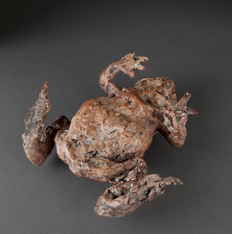 bronze toad