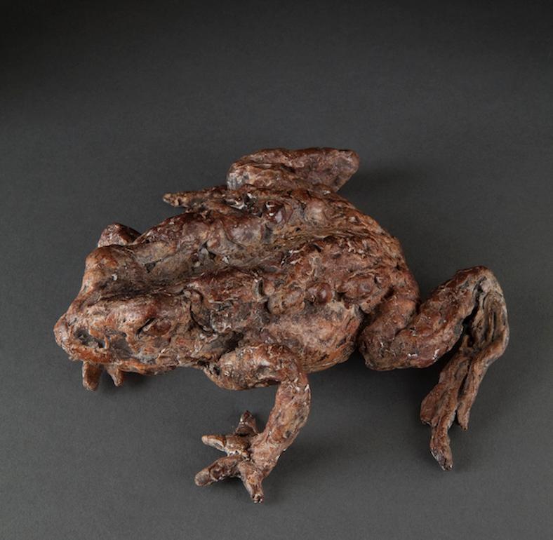 ''Mr. Toad'', sculpture contemporaine en bronze Brown Portrait d'un crapaud, amphibien - Sculpture de Ans Zondag