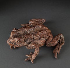 ''Mr. Toad'', Contemporary Bronze Sculpture Portrait of a Toad