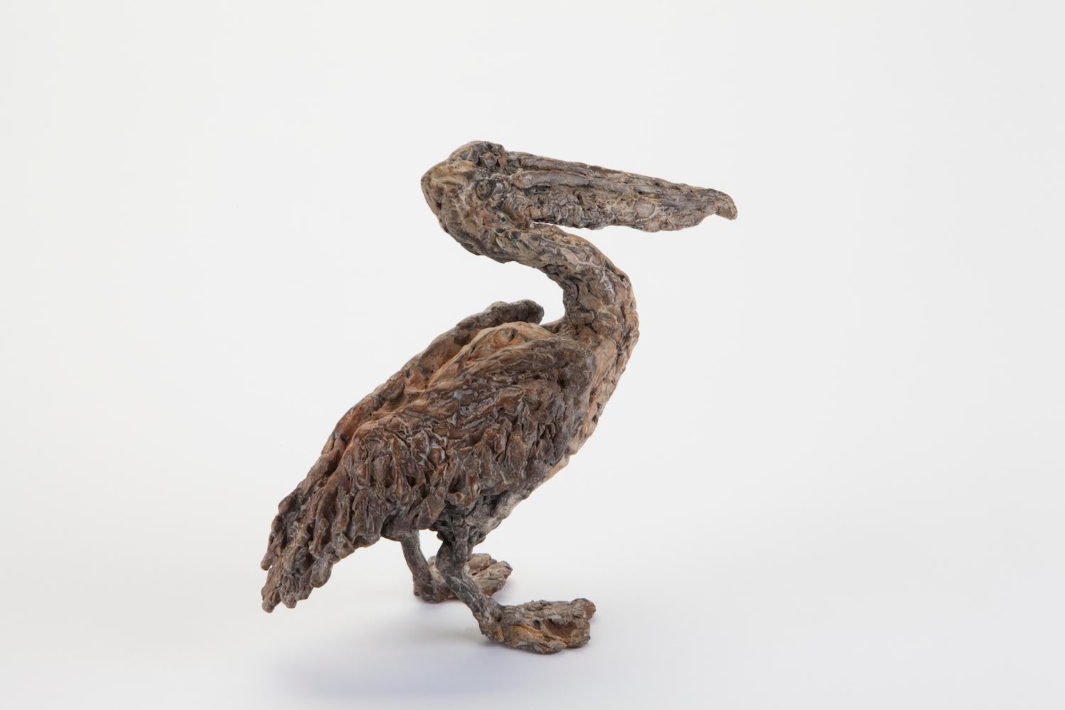 „Pelican“, zeitgenössische Bronzeskulptur, Porträt eines Pelikanes, Vogel