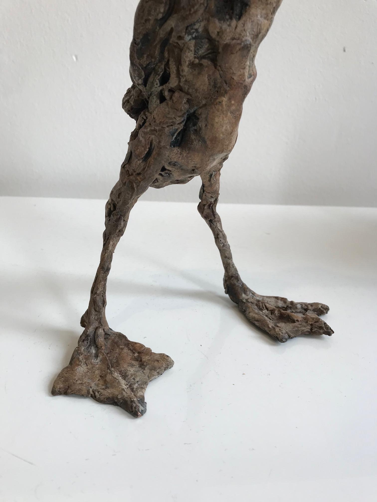 ''Pointy Duck'', Contemporary Bronze Sculpture Portrait of a Duck 2
