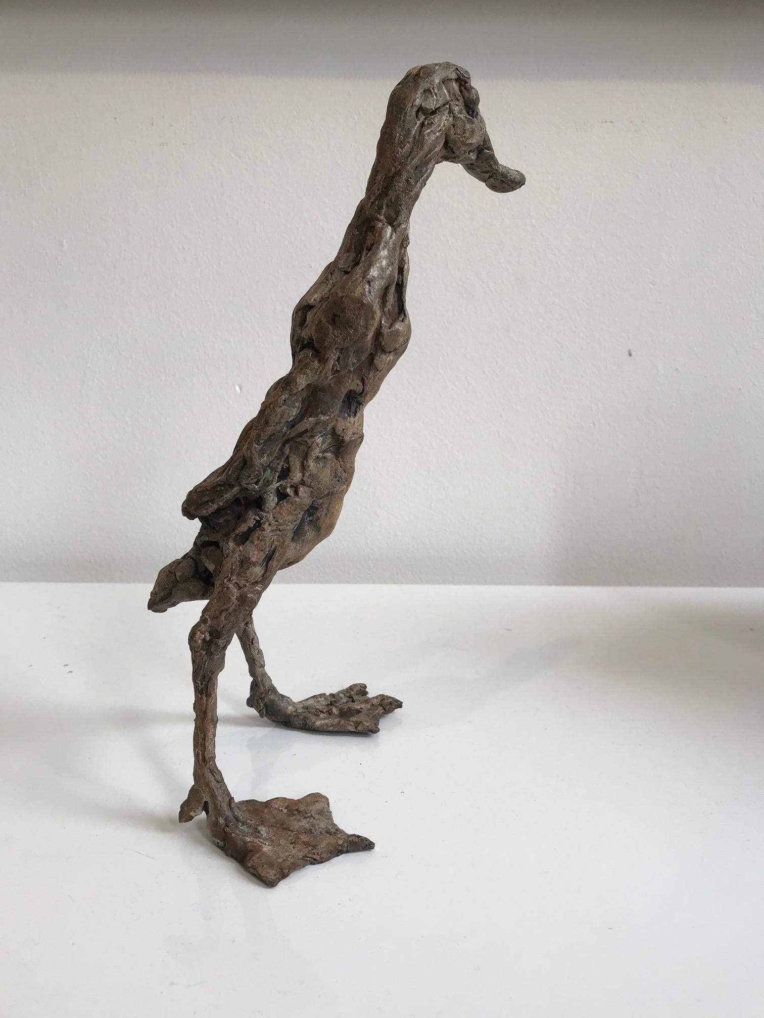 ''Pointy Duck'', Contemporary Bronze Sculpture Portrait of a Duck 3