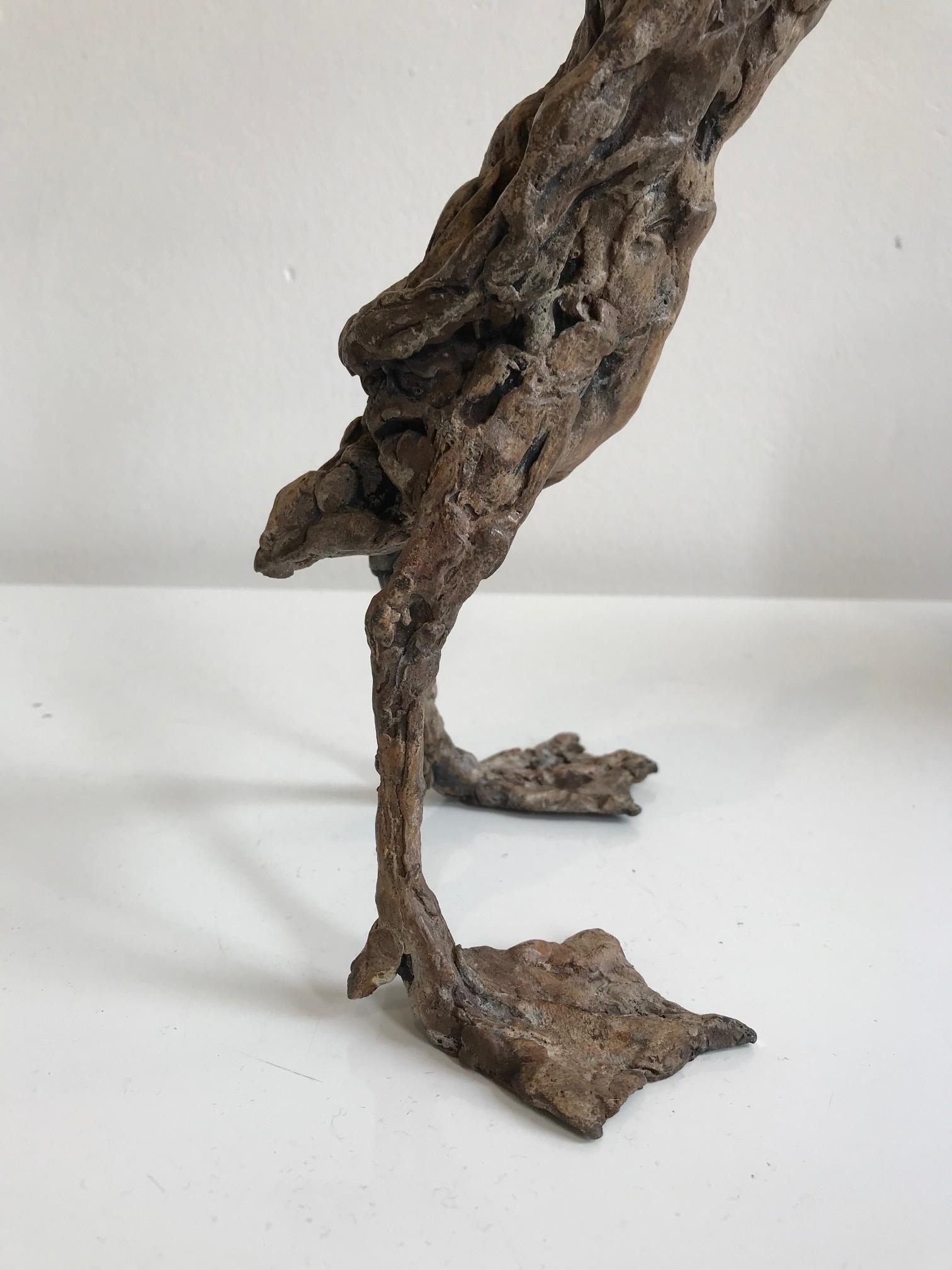 ''Pointy Duck'', Contemporary Bronze Sculpture Portrait of a Duck 4