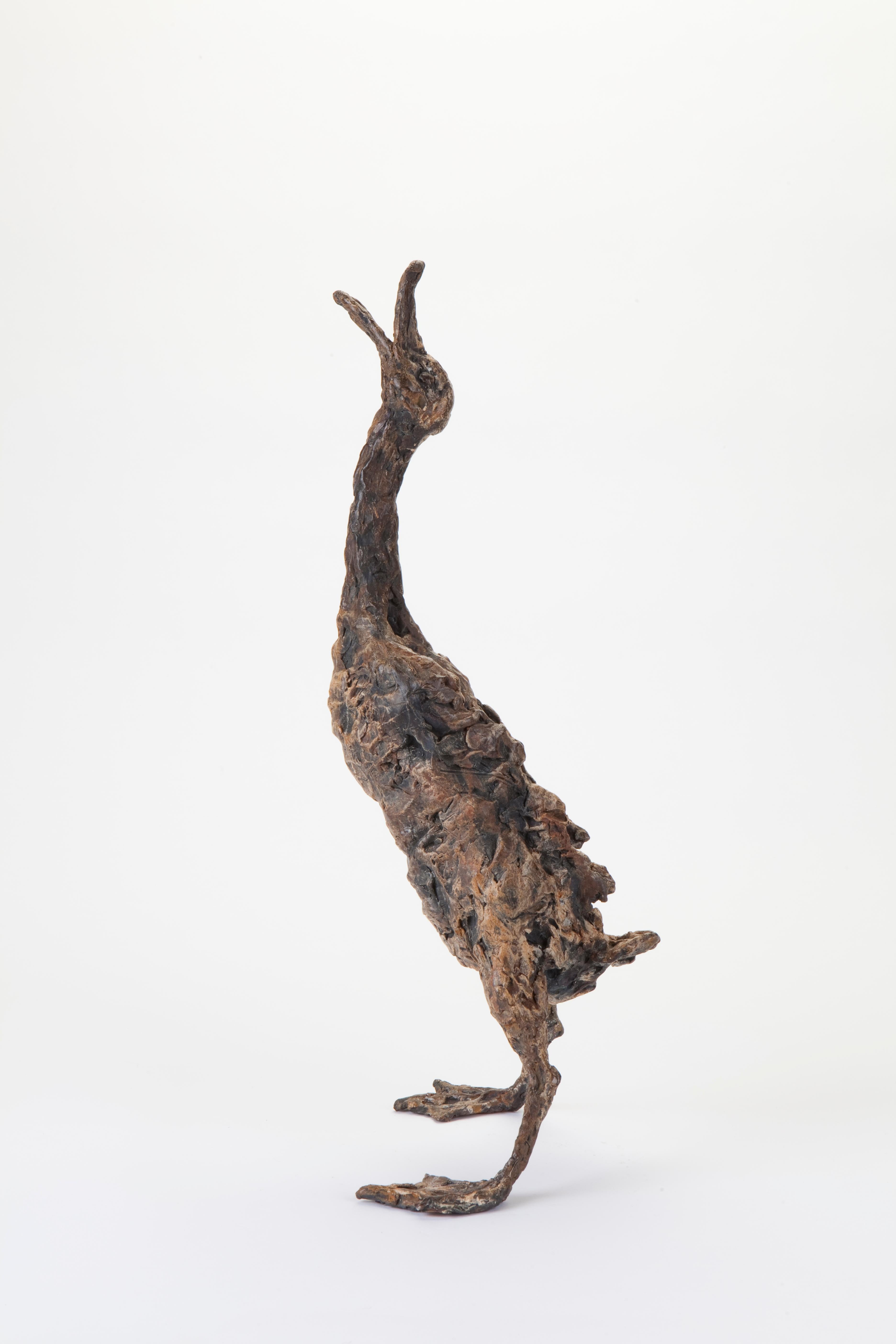 ''Quacking Duck'', Contemporary Bronze Sculpture Portrait of a Duck 3