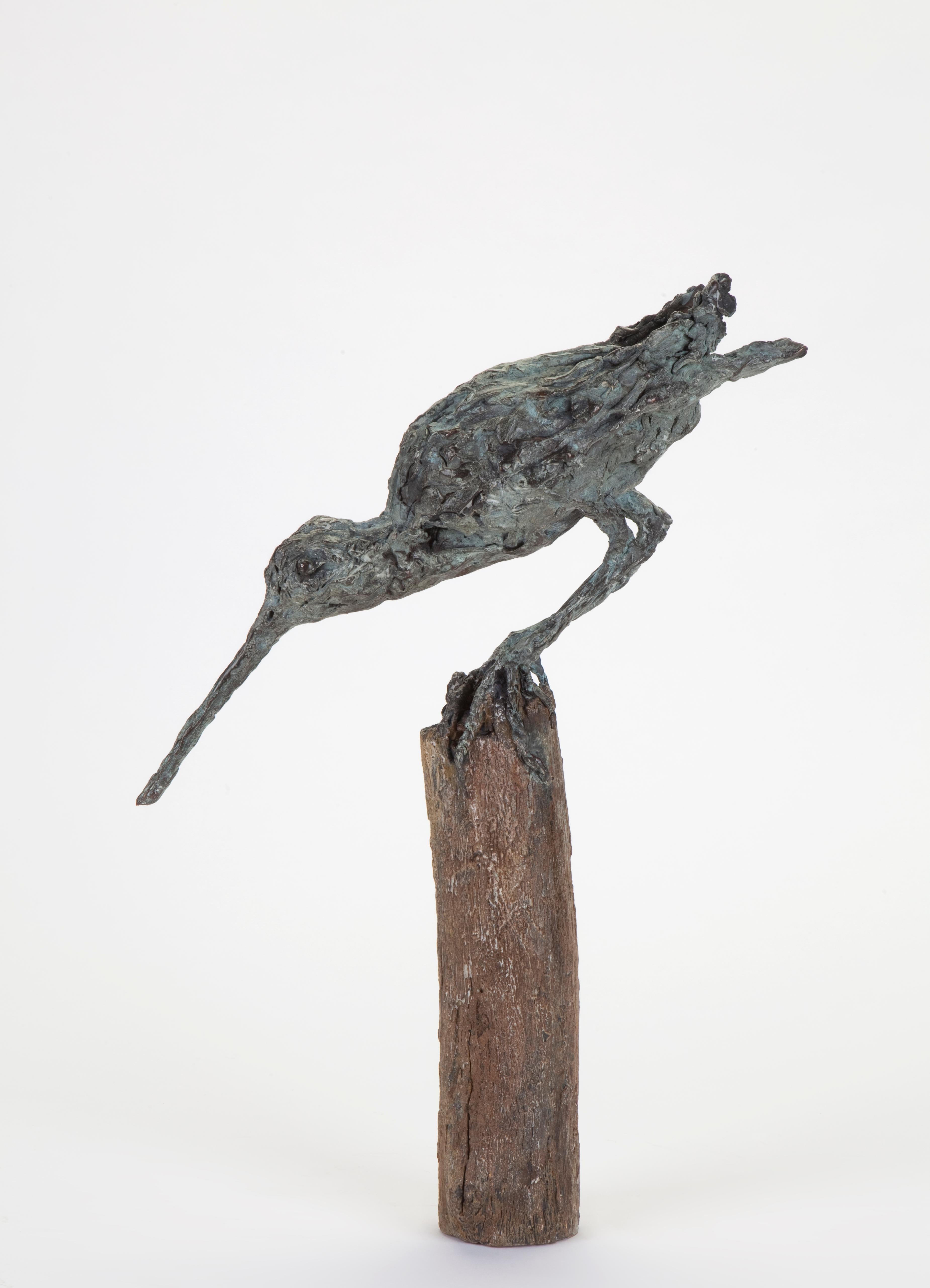 « Pichet Snap », sculpture contemporaine en bronze d'un portrait d'oiseau - Contemporain Sculpture par Ans Zondag