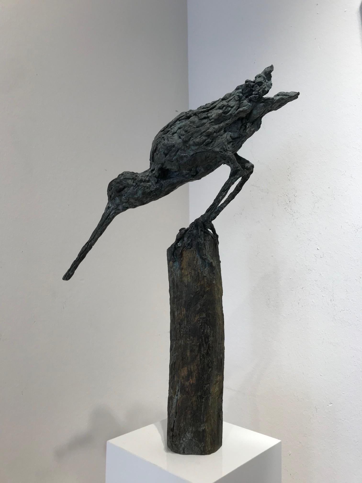 ''SnipSnap'' Contemporary Bronze Sculpture Portrait of a Snipe, Bird For Sale 6