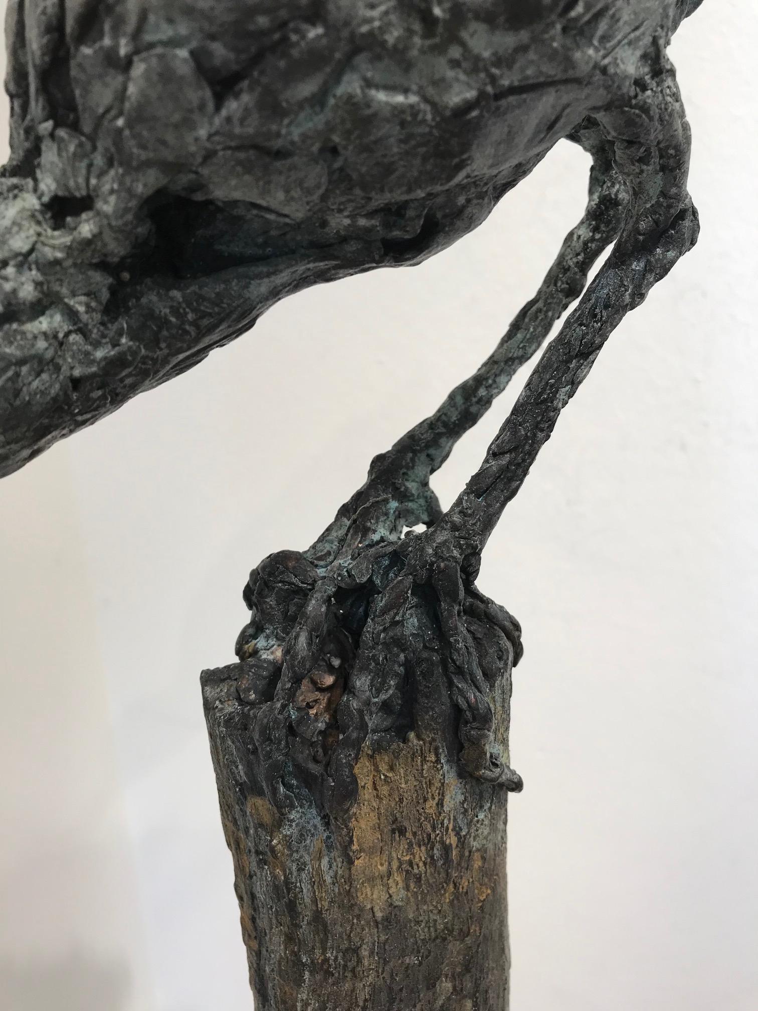 « Pichet Snap », sculpture contemporaine en bronze d'un portrait d'oiseau en vente 6