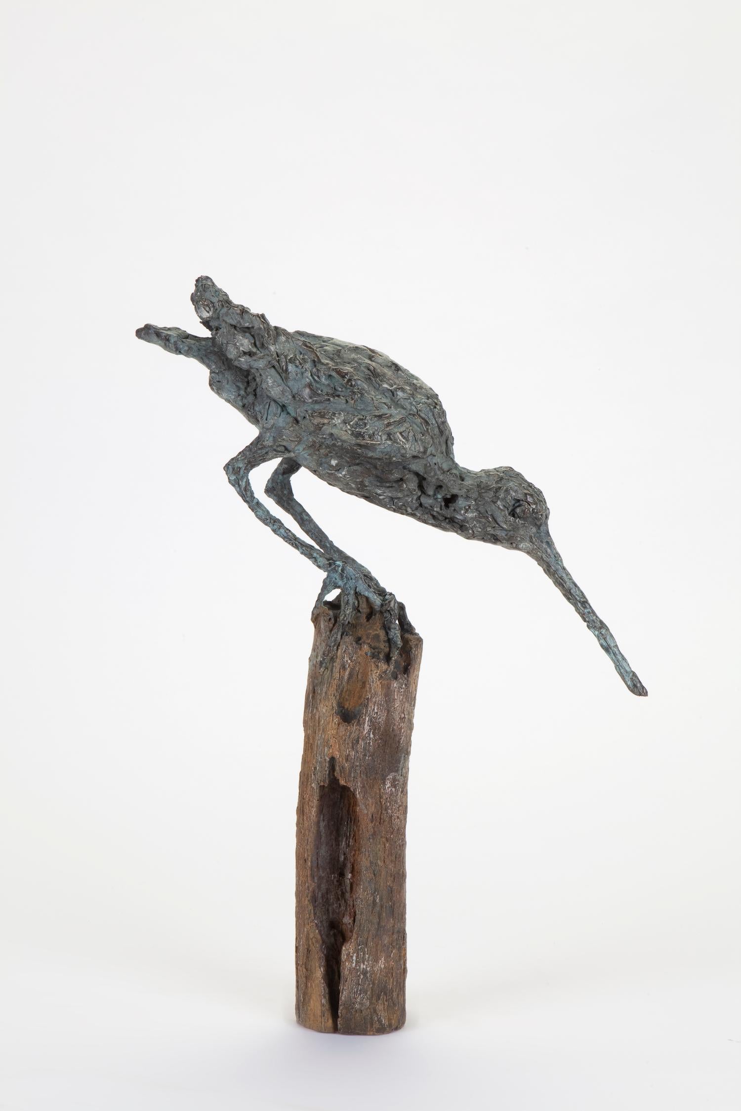 « Pichet Snap », sculpture contemporaine en bronze d'un portrait d'oiseau - Sculpture de Ans Zondag