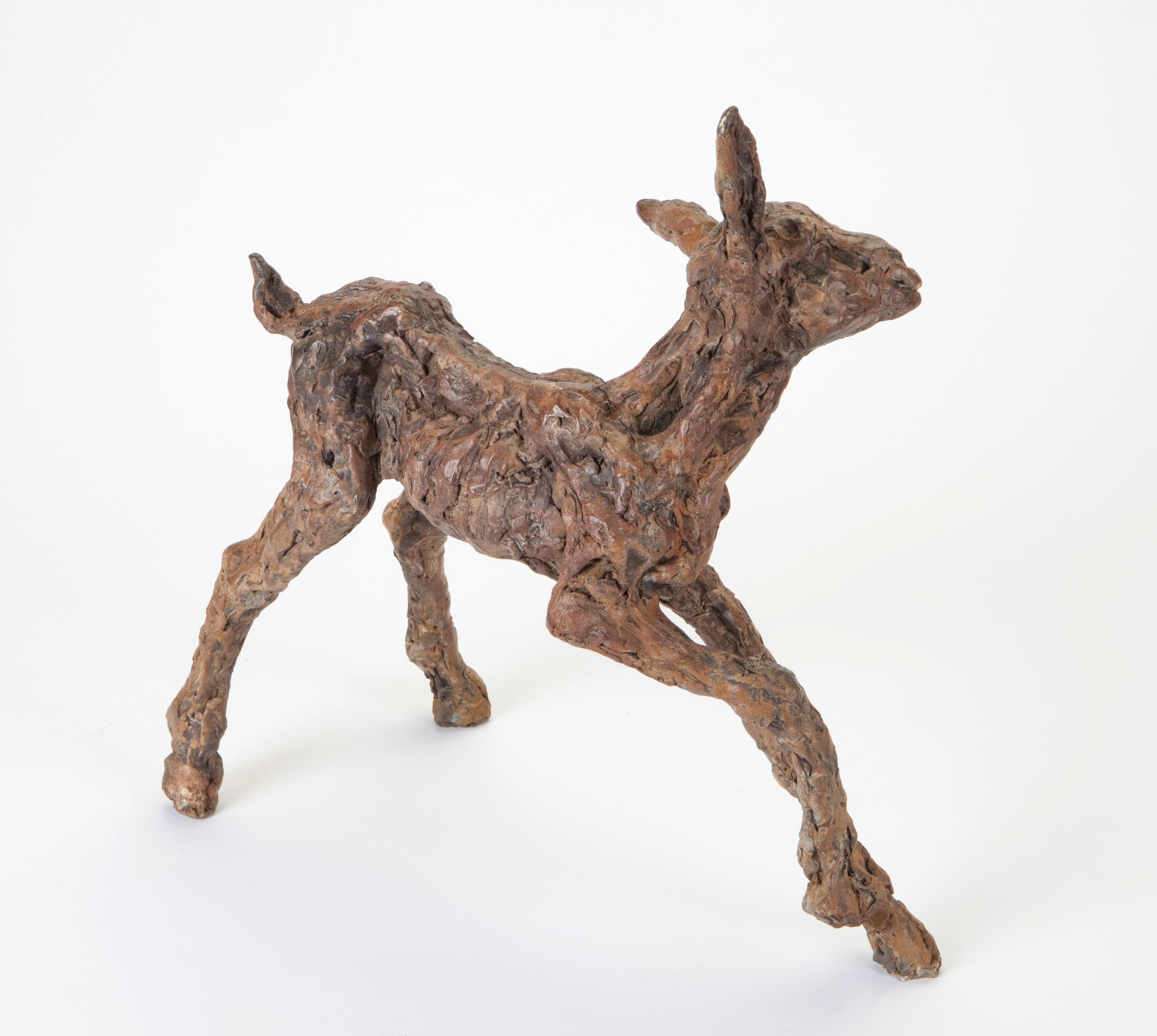 ''Spring Goat'' Contemporary Bronze Sculpture Portrait of a Baby Goat 1