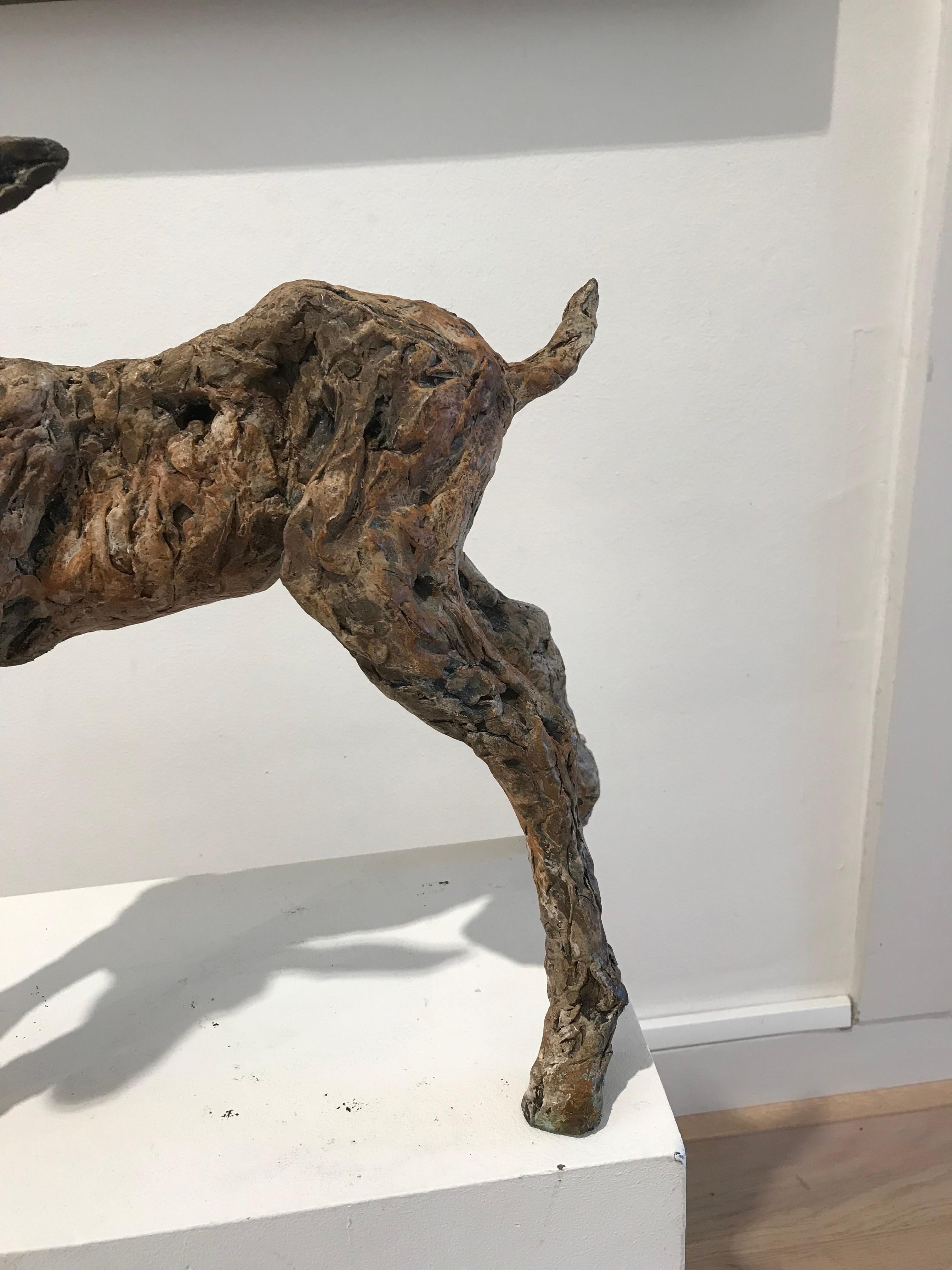 ''Spring Goat'' Contemporary Bronze Sculpture Portrait of a Baby Goat 3