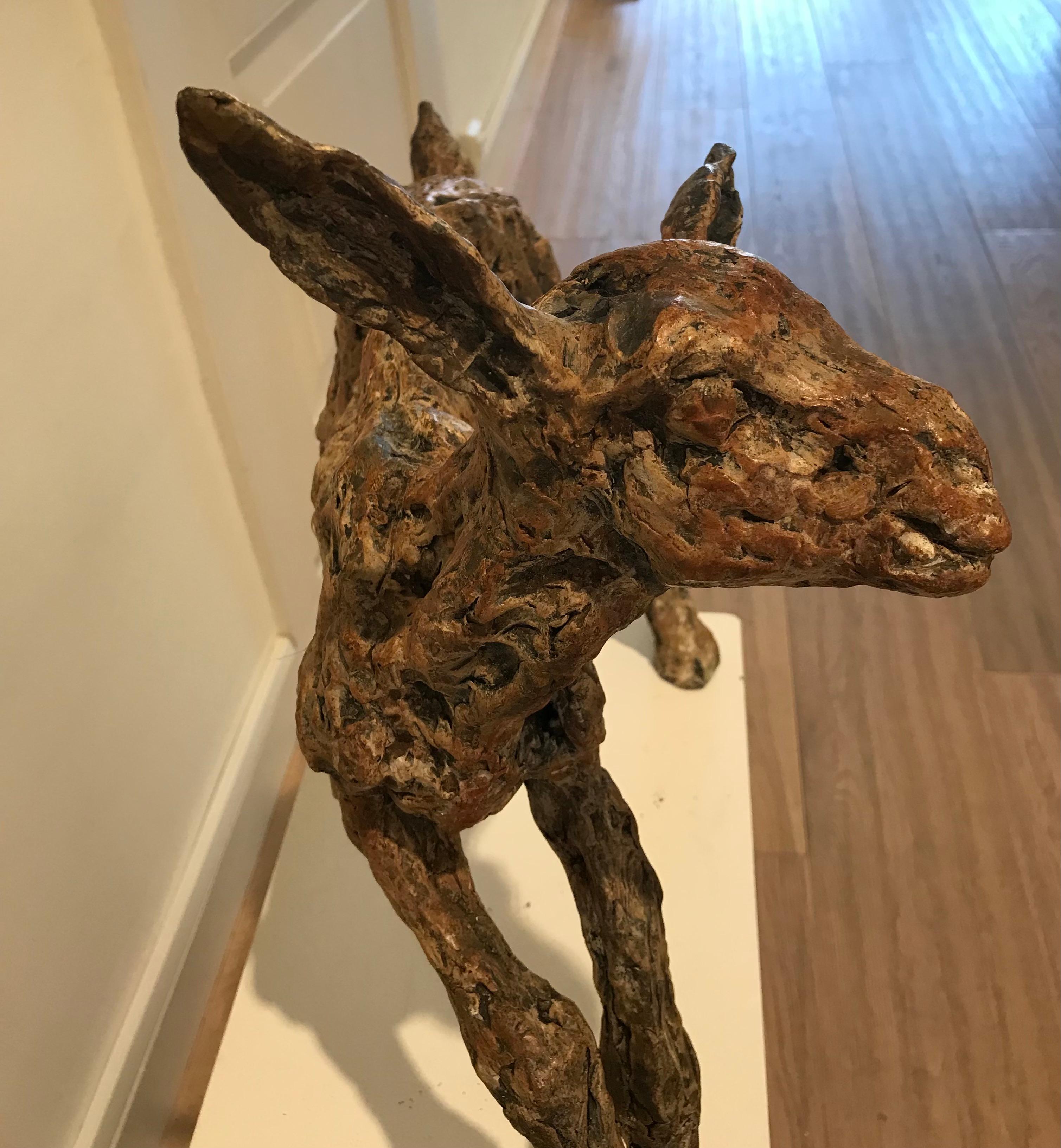''Spring Goat'' Contemporary Bronze Sculpture Portrait of a Baby Goat 4