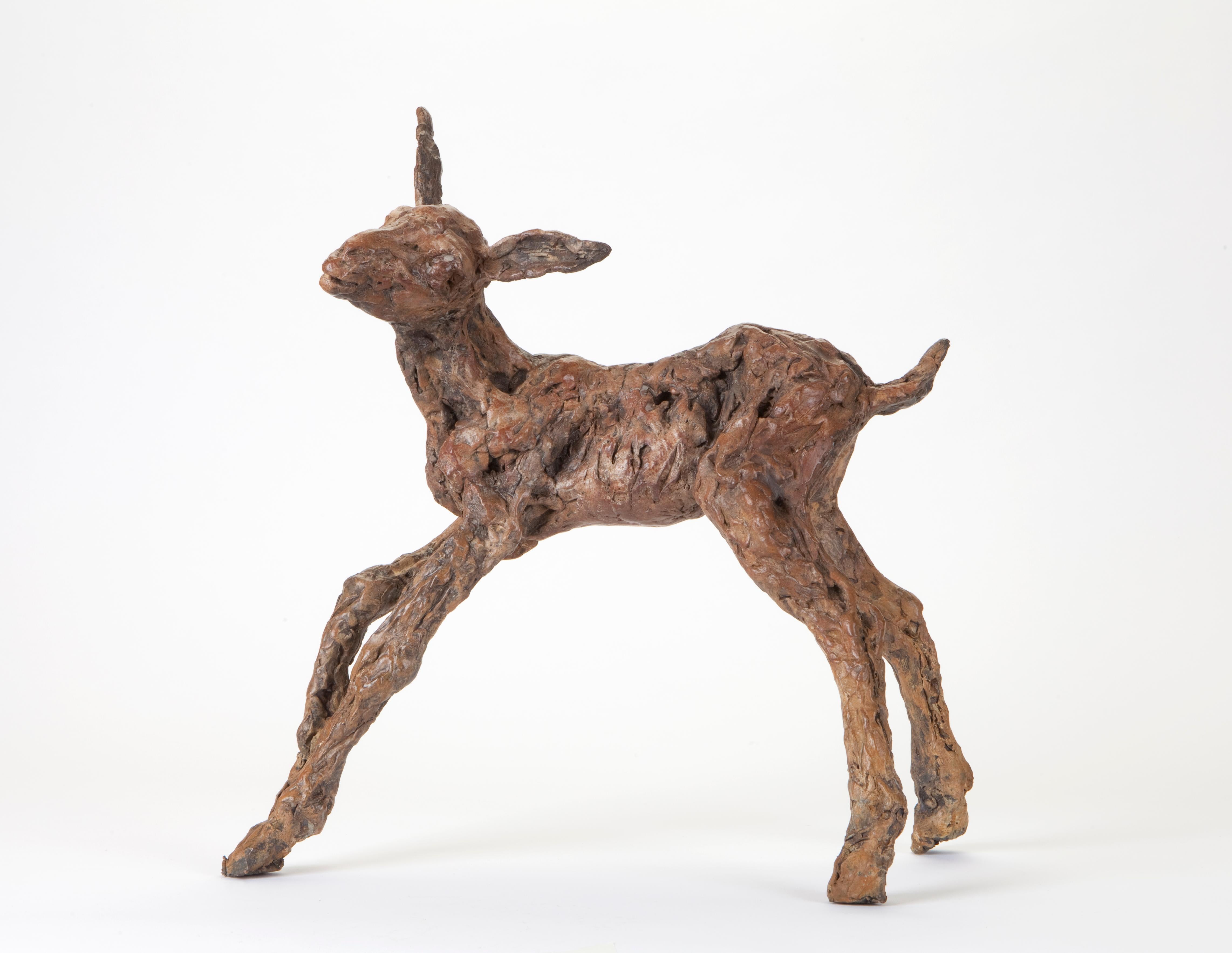 Ans Zondag Figurative Sculpture - ''Spring Goat'' Contemporary Bronze Sculpture Portrait of a Baby Goat