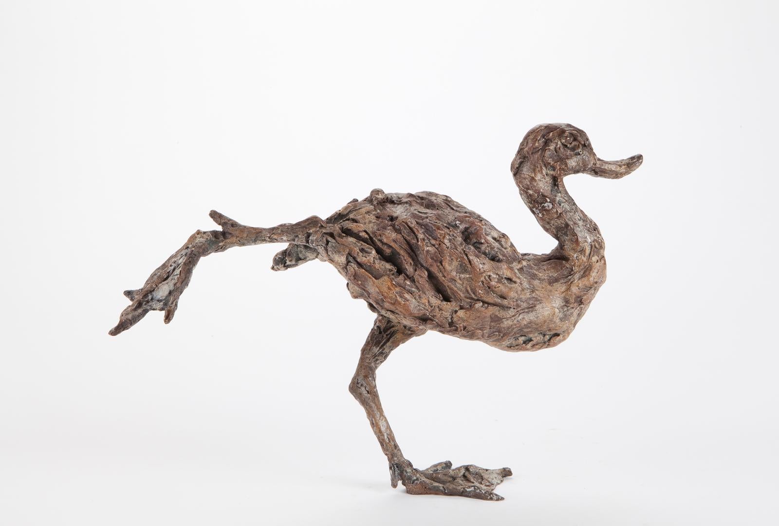 Ans Zondag Figurative Sculpture - ''Stretch'', Contemporary Bronze Sculpture Portrait of a Duck, Bird