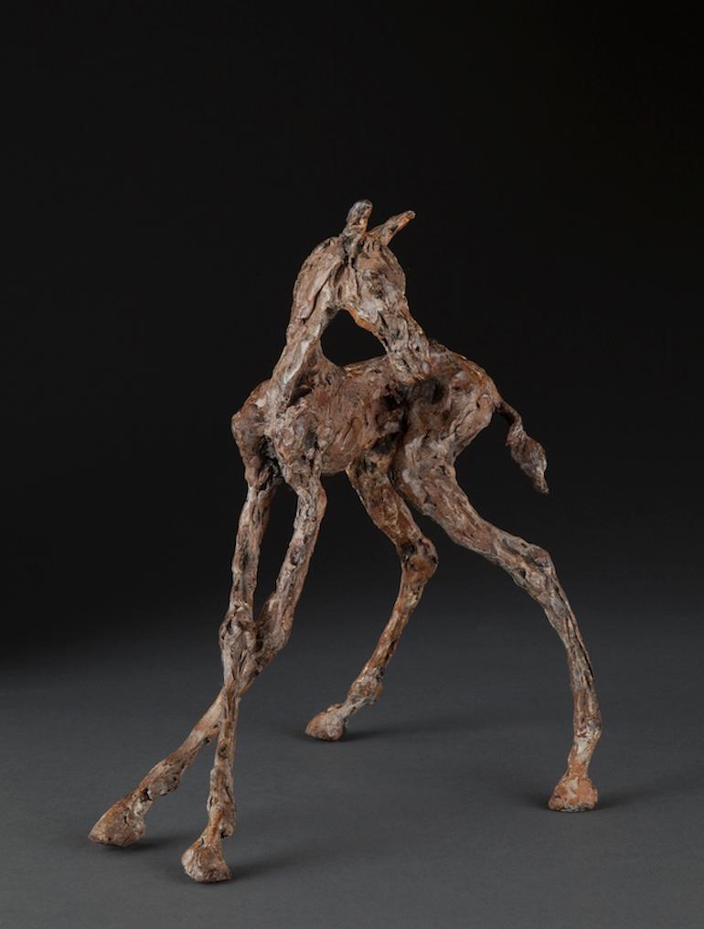 Ans Zondag Figurative Sculpture - ''Turned Foal'', Contemporary Bronze Sculpture Portrait of a Horse