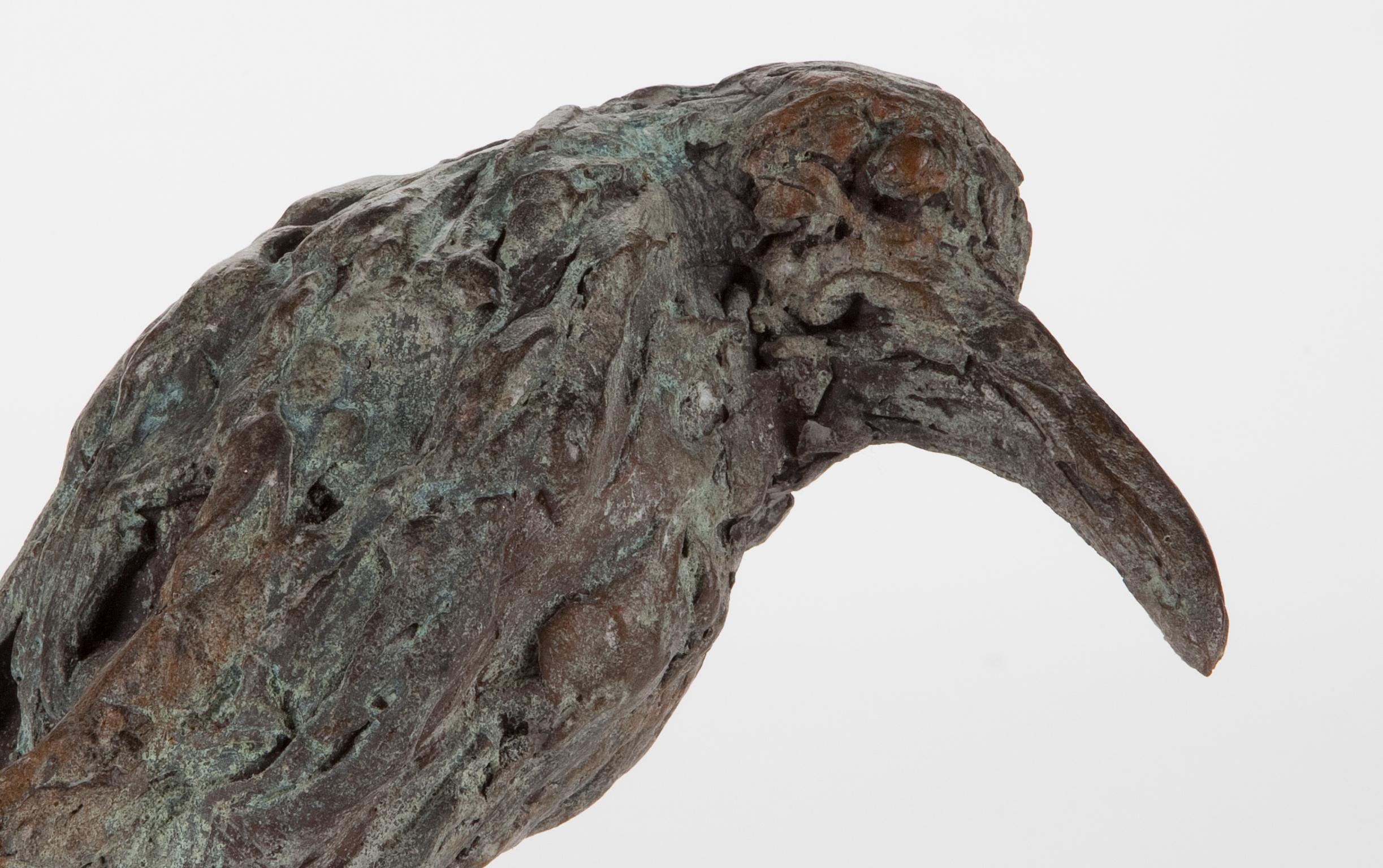 ''Unlucky Bird'', Sculpture contemporaine en bronze Portrait d'un oiseau en vente 1