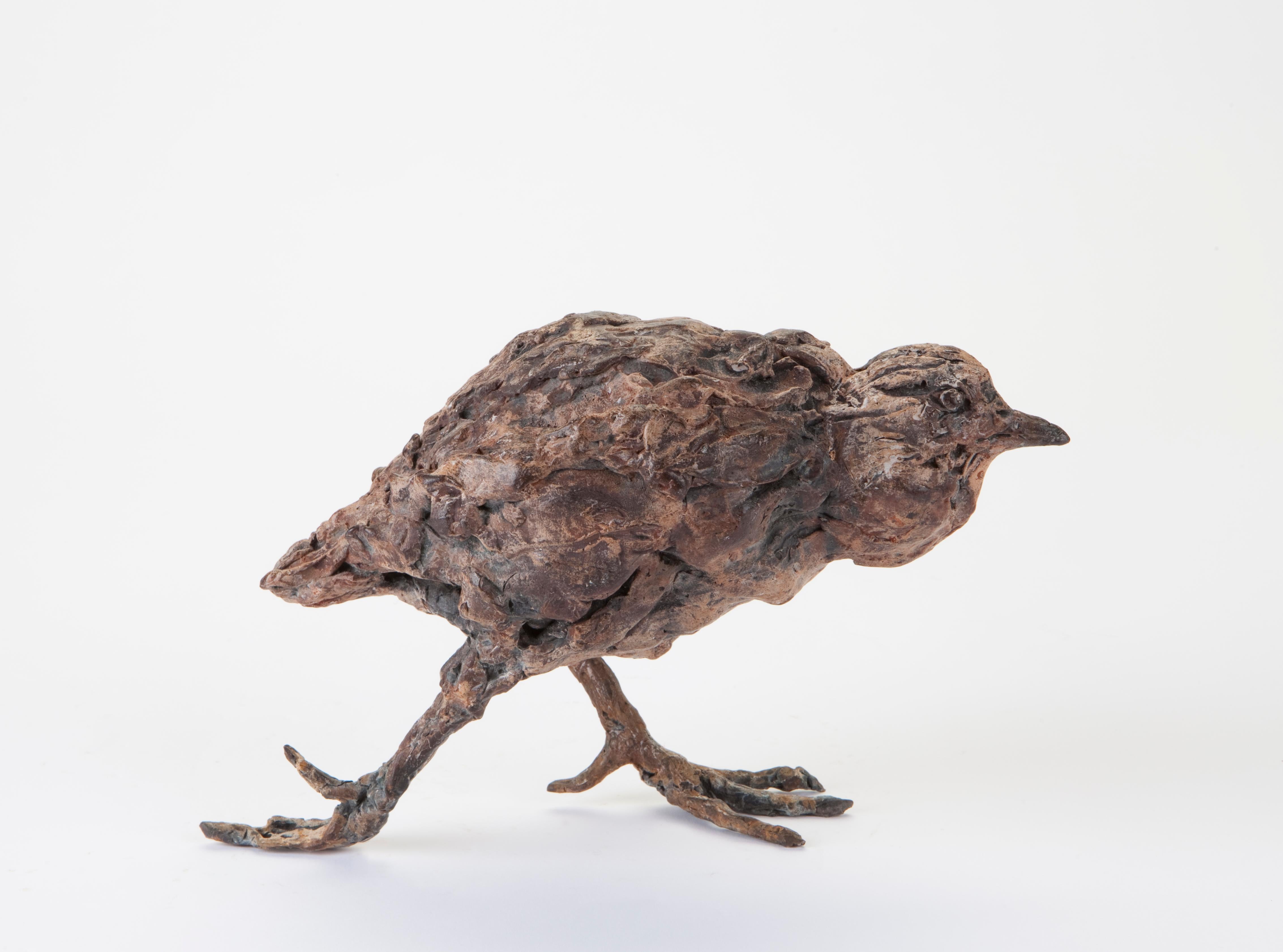 ''Water Bird'', Contemporary Bronze Sculpture Portrait of a Water Bird - Gold Figurative Sculpture by Ans Zondag
