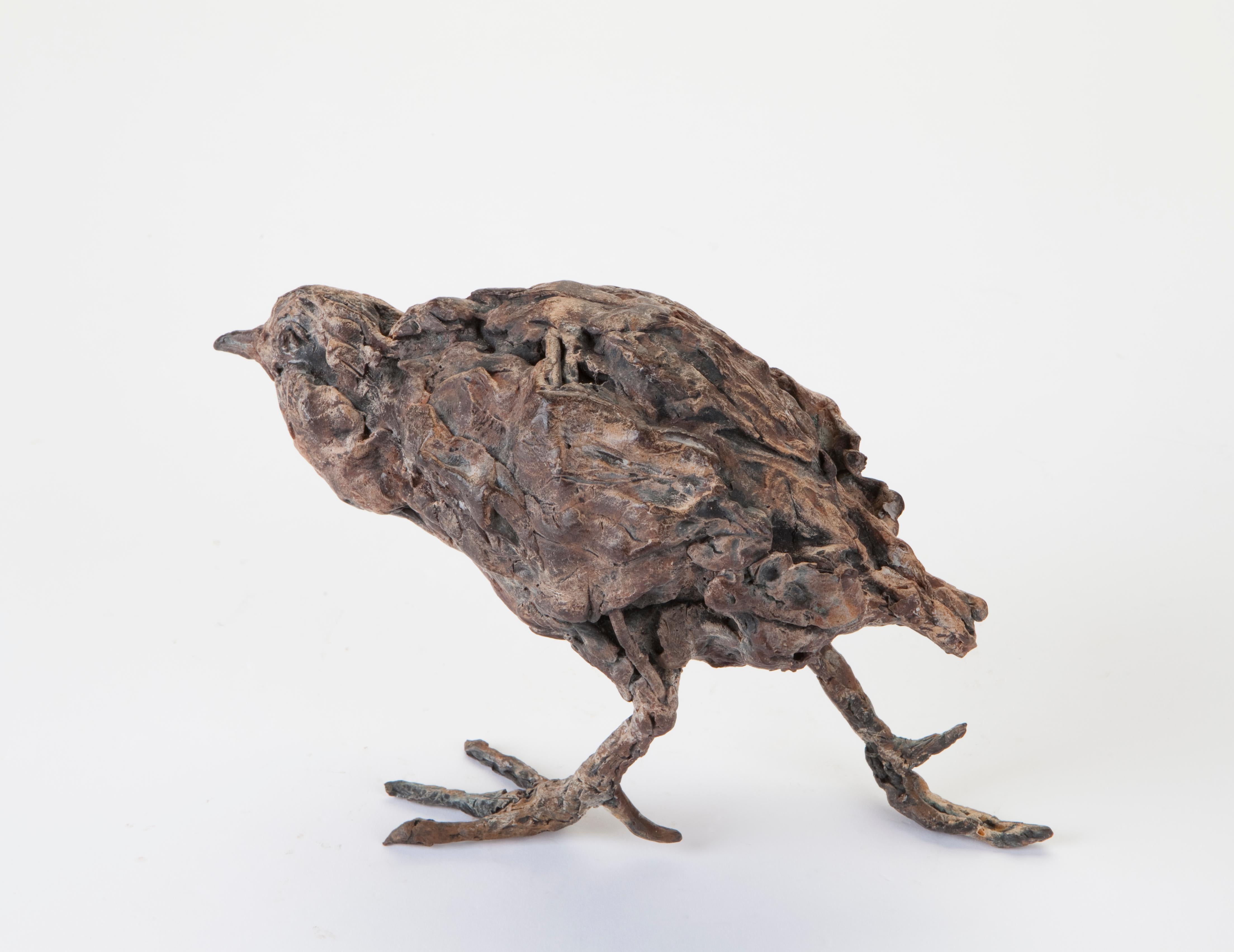 « Oiseau aquatique », sculpture contemporaine en bronze d'un portrait d'oiseau aquatique - Contemporain Sculpture par Ans Zondag