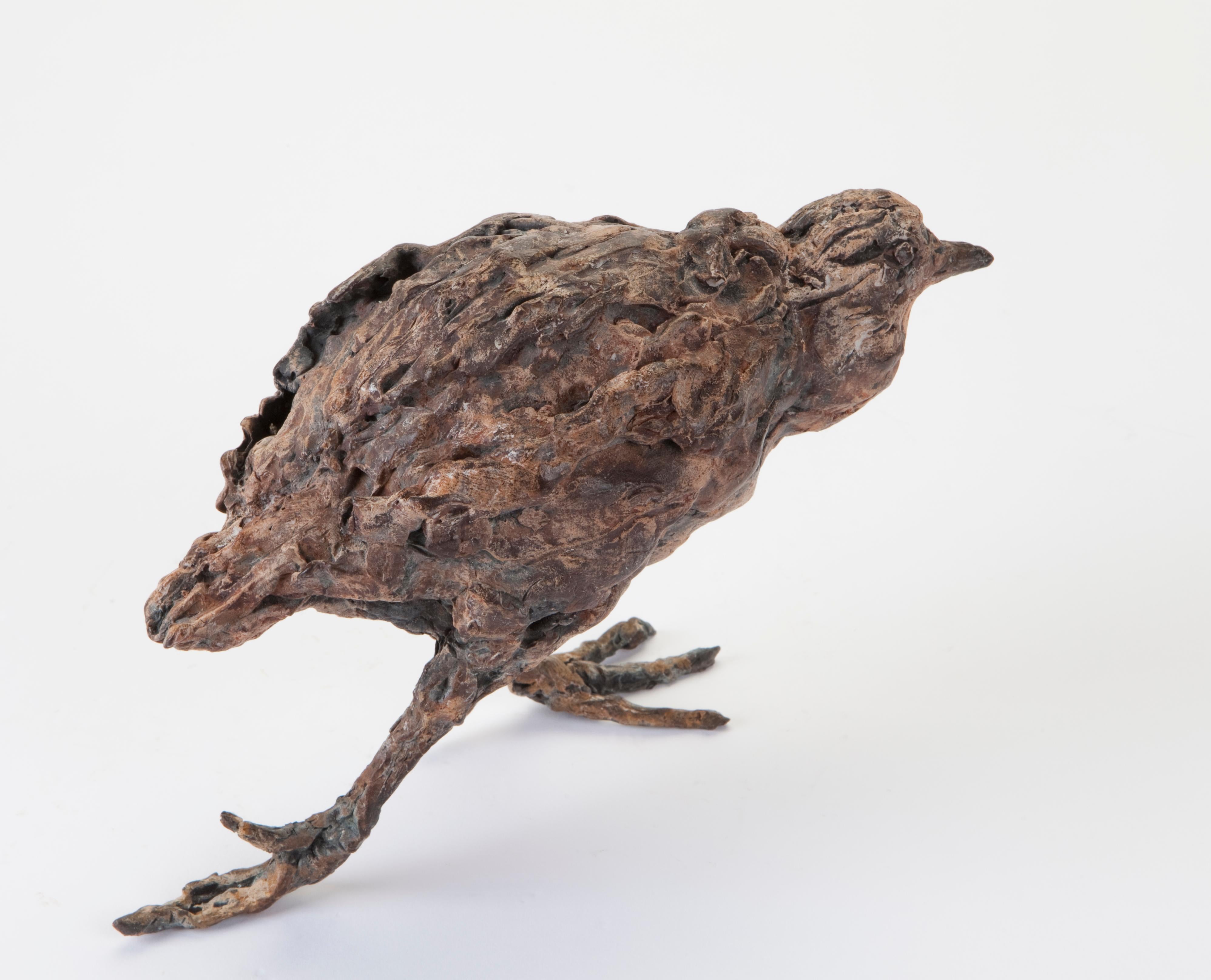 ''Water Bird'', Contemporary Bronze Sculpture Portrait of a Water Bird For Sale 1