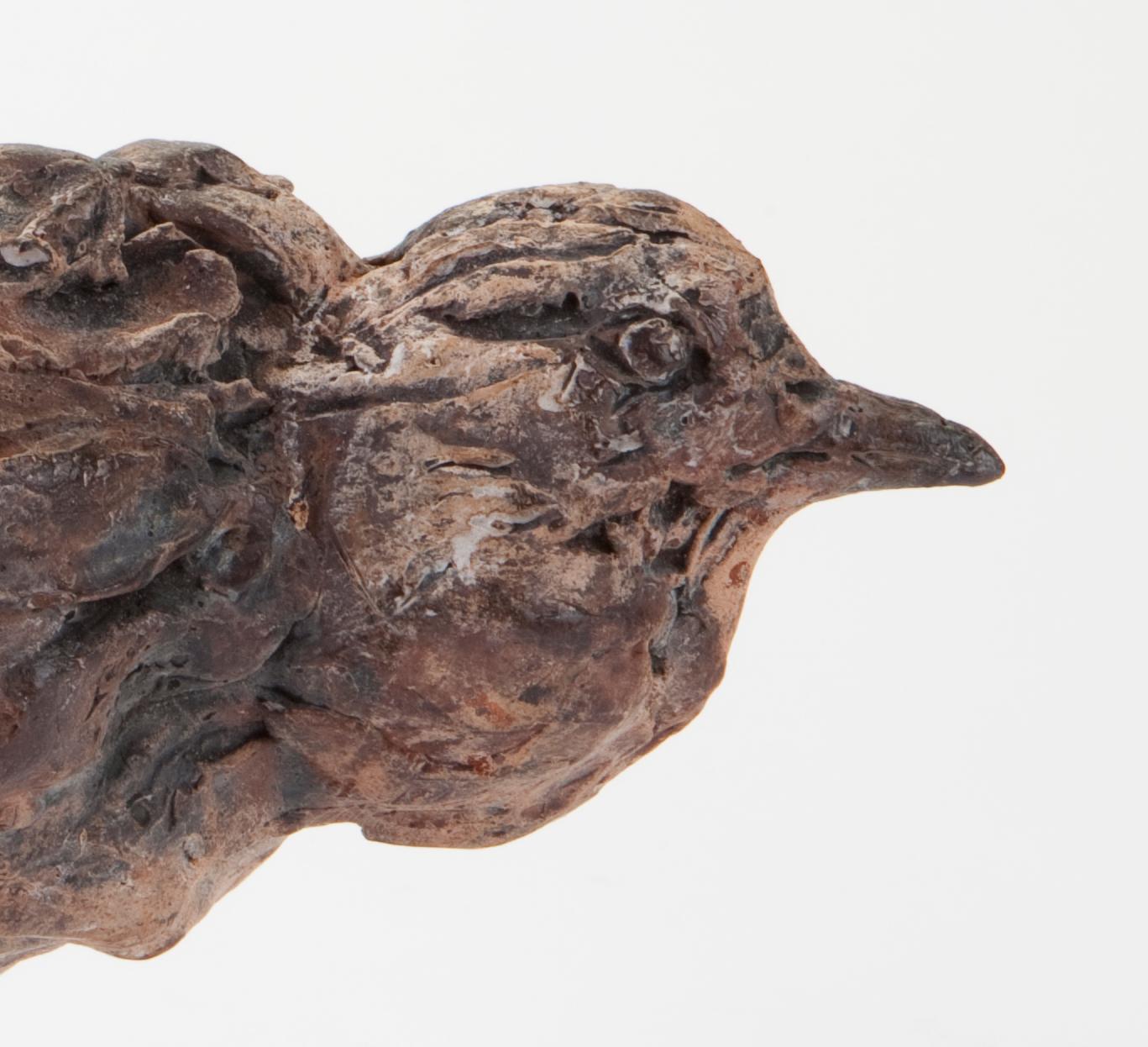 ''Water Bird'', Contemporary Bronze Sculpture Portrait of a Water Bird For Sale 2