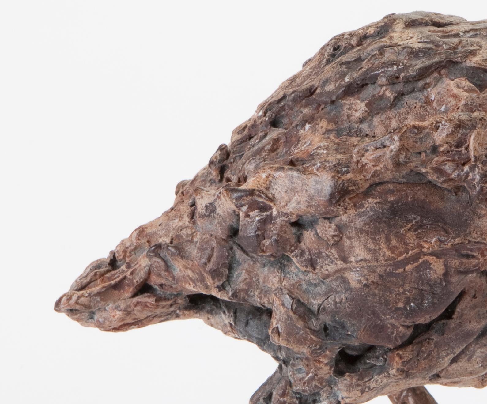 ''Water Bird'', Contemporary Bronze Sculpture Portrait of a Water Bird For Sale 3