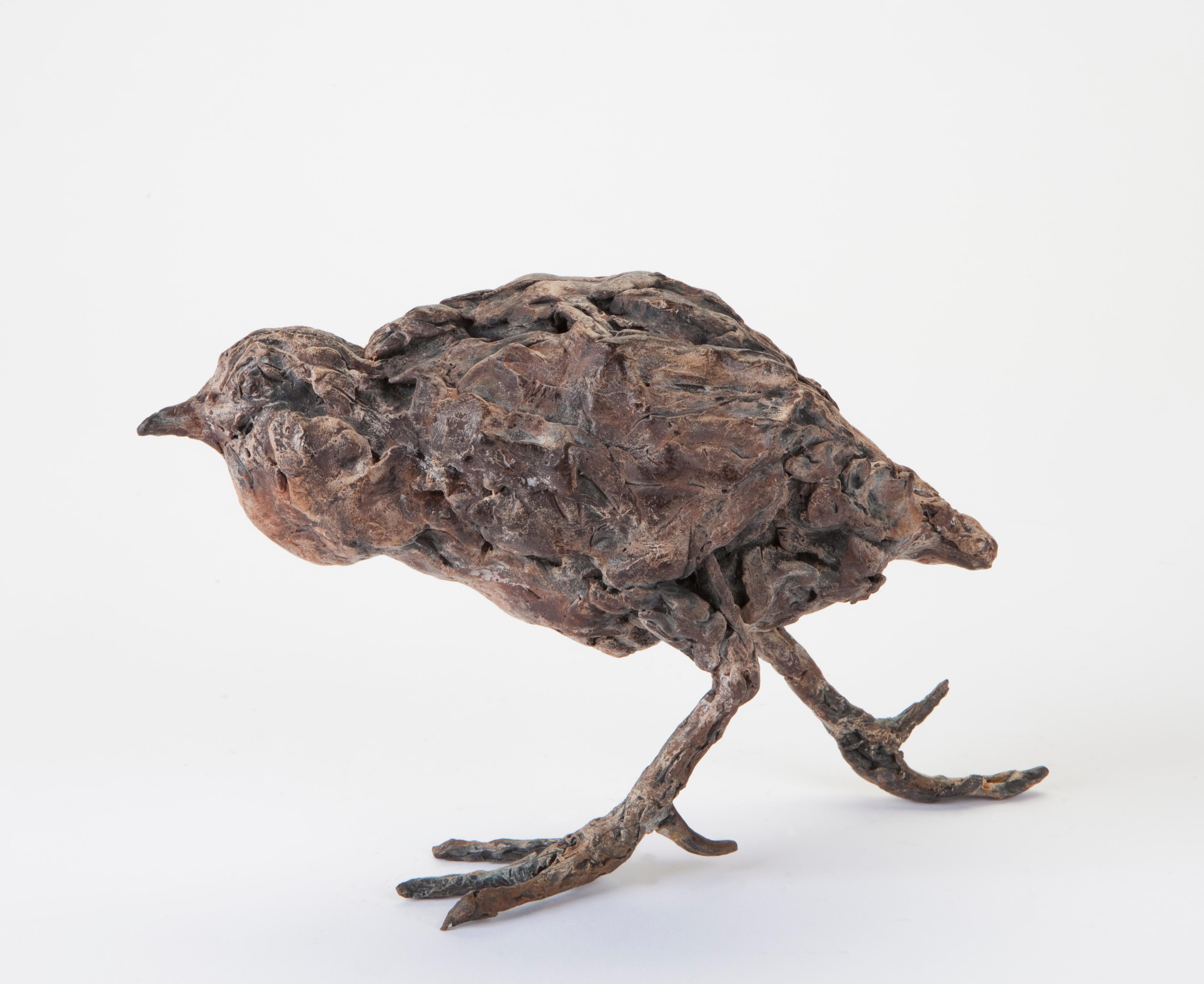 Figurative Sculpture Ans Zondag - « Oiseau aquatique », sculpture contemporaine en bronze d'un portrait d'oiseau aquatique