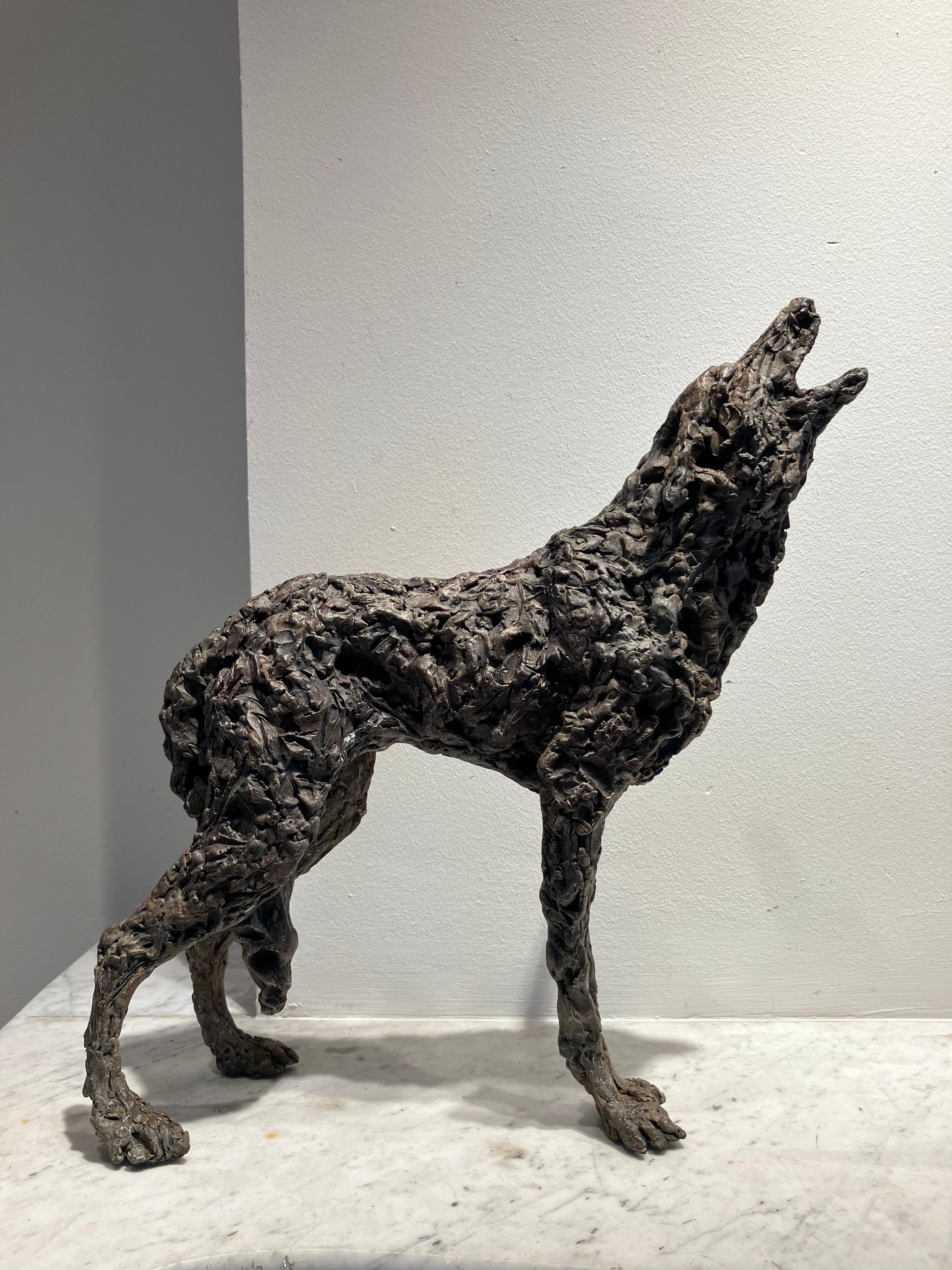 ''Lobo Lobo'' Escultura Contemporánea de Bronce Retrato de un Lobo 1