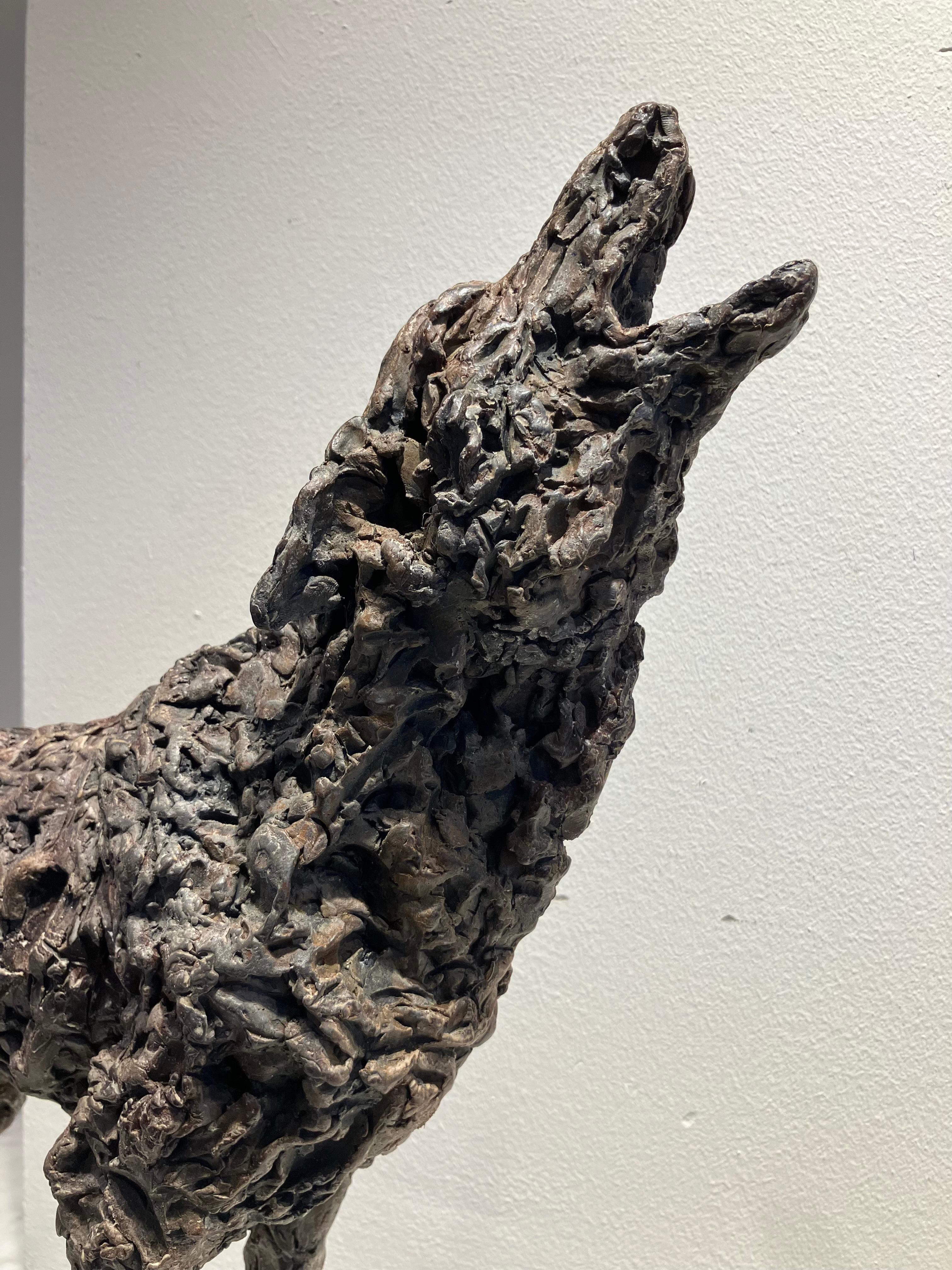 ''Lobo Lobo'' Escultura Contemporánea de Bronce Retrato de un Lobo 2
