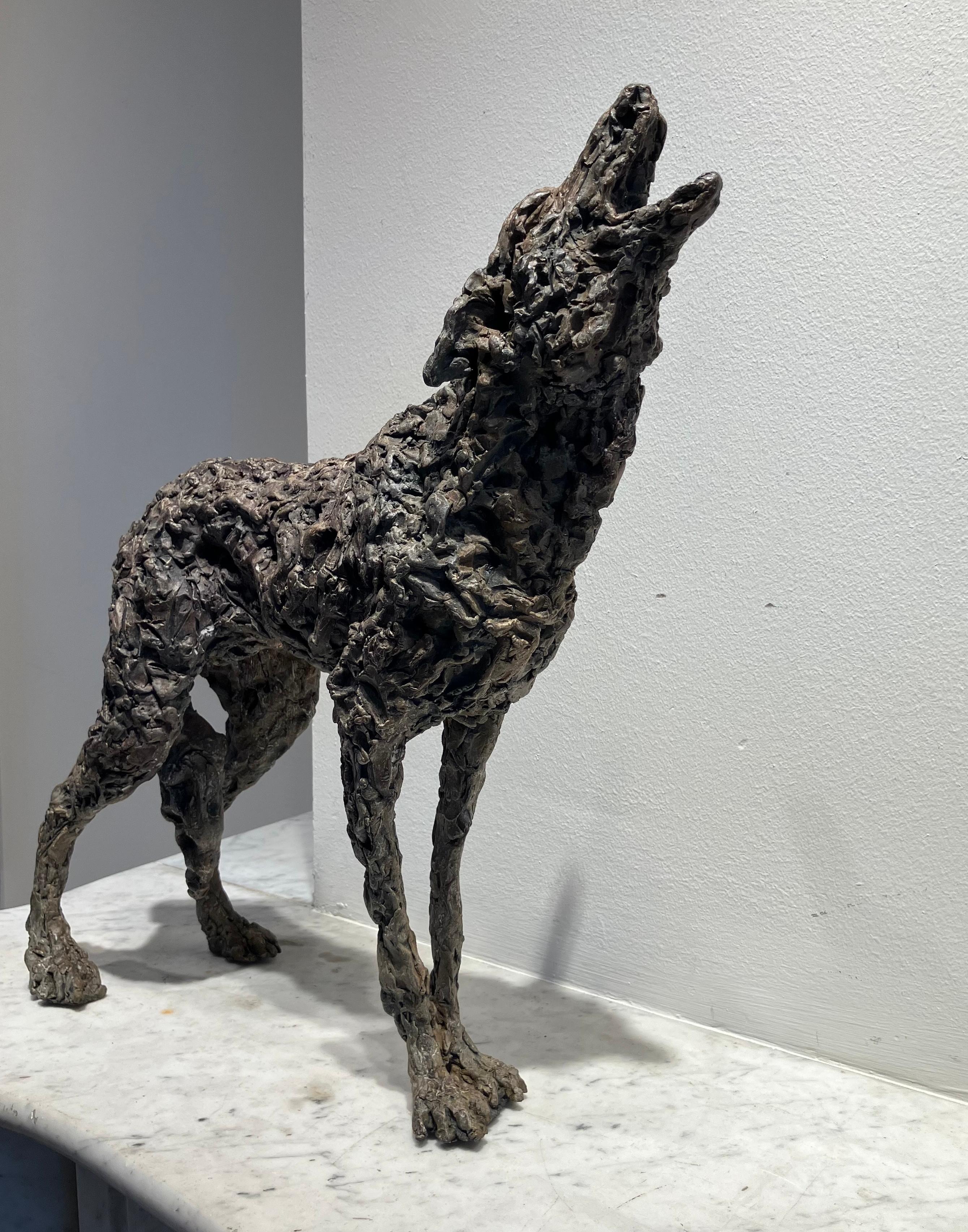 ''Lobo Lobo'' Escultura Contemporánea de Bronce Retrato de un Lobo 3