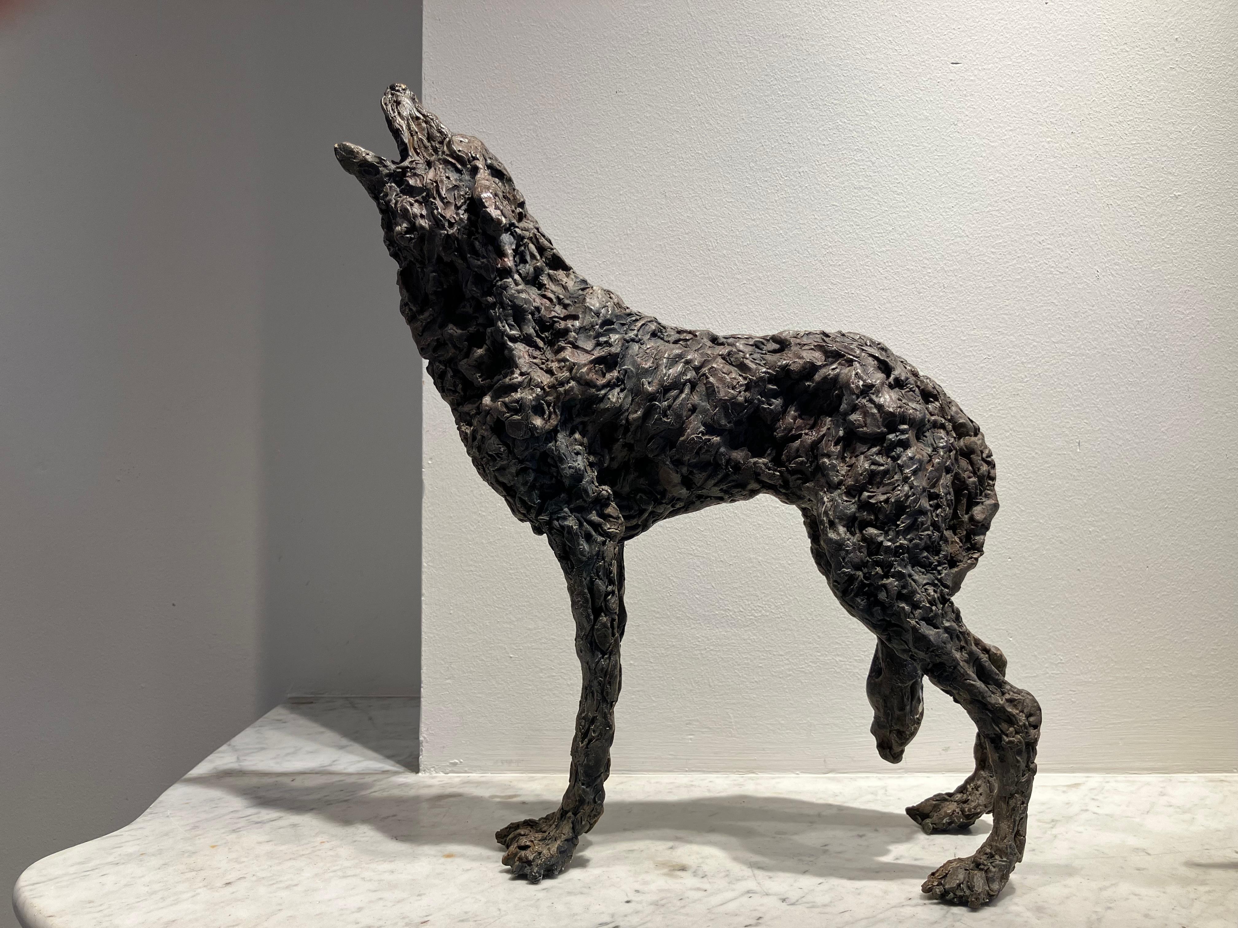 ''Lobo Lobo'' Escultura Contemporánea de Bronce Retrato de un Lobo 4