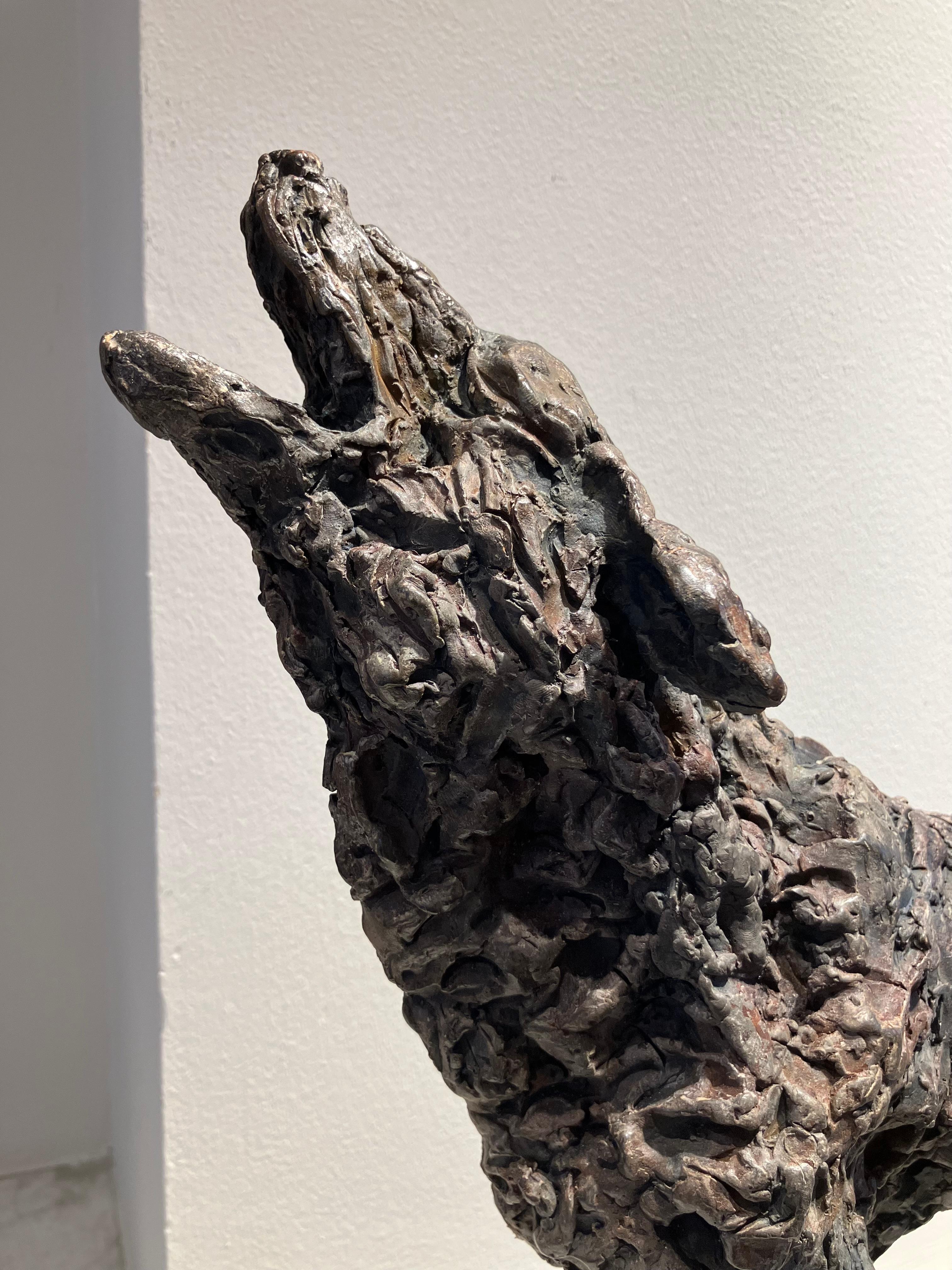 ''Lobo Lobo'' Escultura Contemporánea de Bronce Retrato de un Lobo 5